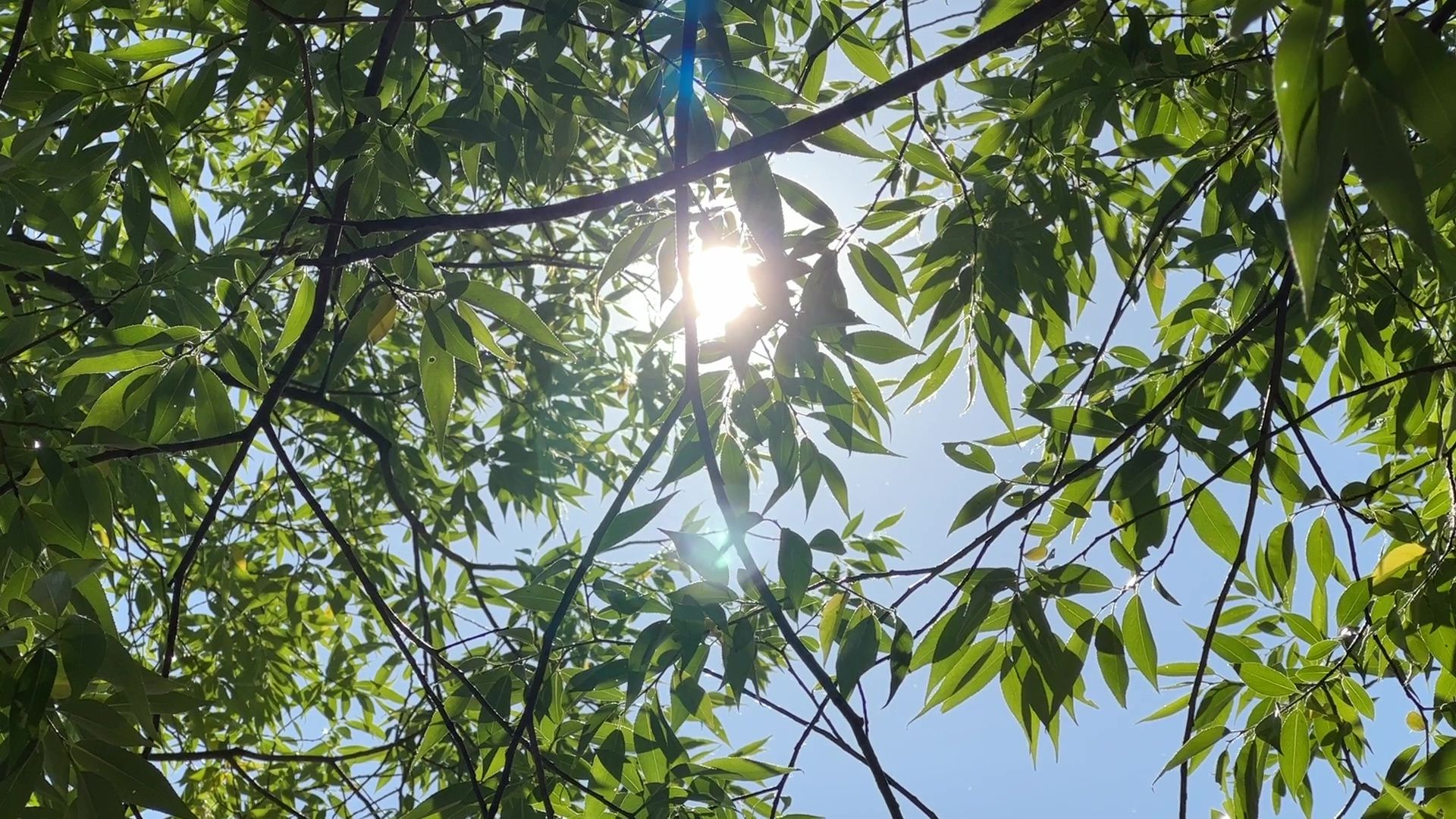 Реутов, МЧС, безопасность, вода, пляж, купание