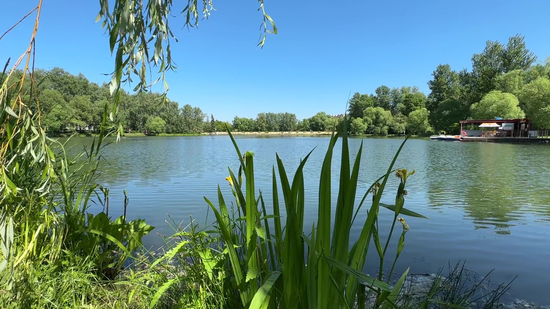 Реутов, МЧС, безопасность, вода, пляж, купание