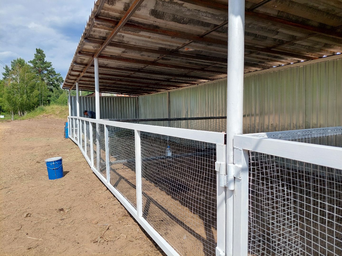 фермер, Воскресенск, сельское хозяйство, контактный зоопарк, животные