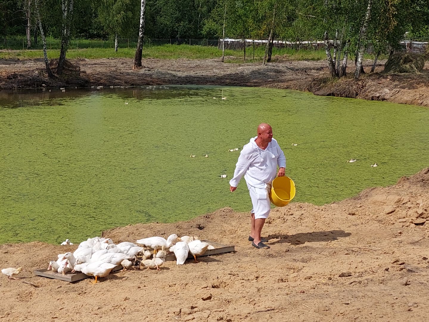 фермер, Воскресенск, сельское хозяйство, контактный зоопарк, животные