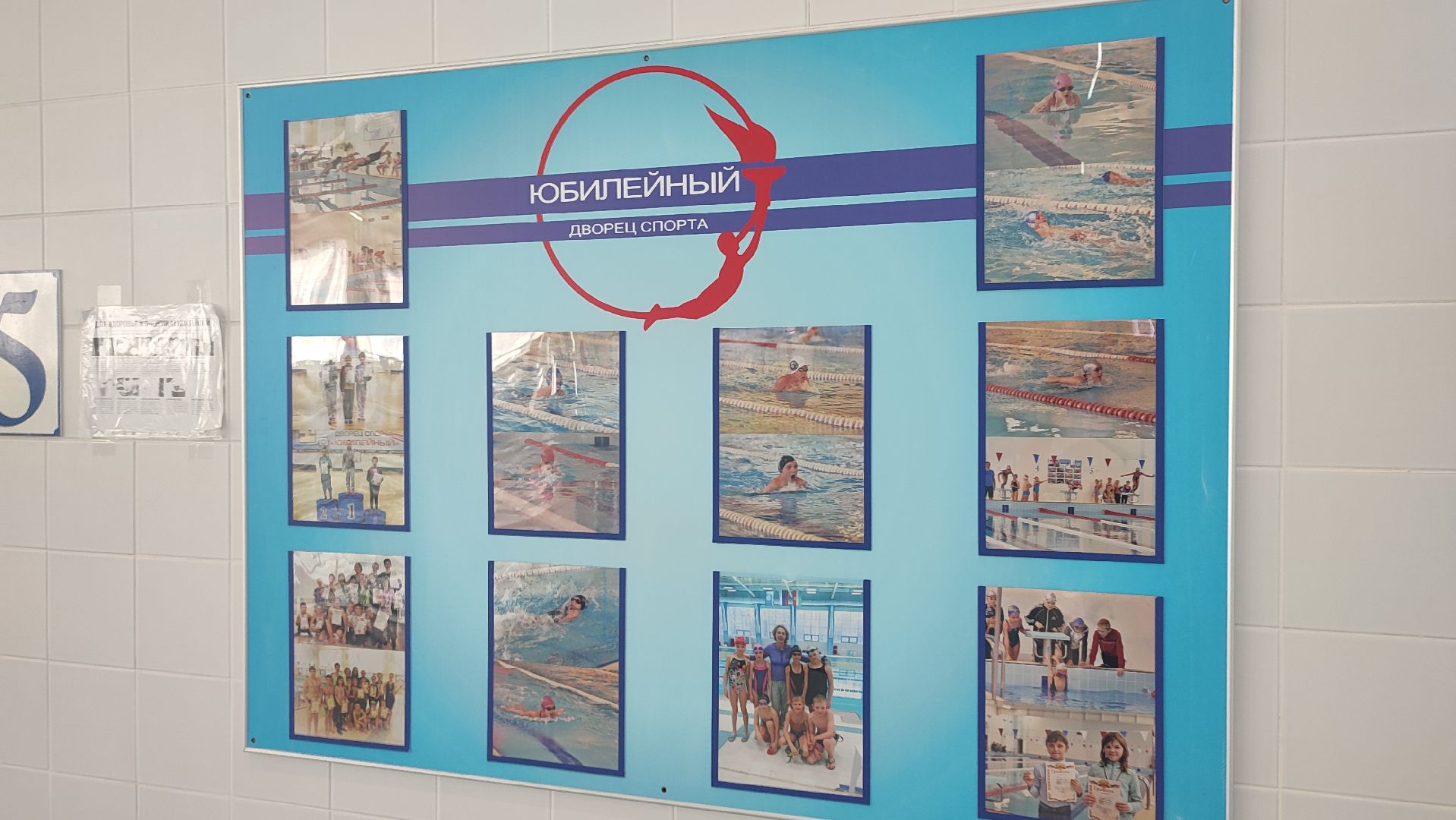 Кашира, бассейн, дворец спорта