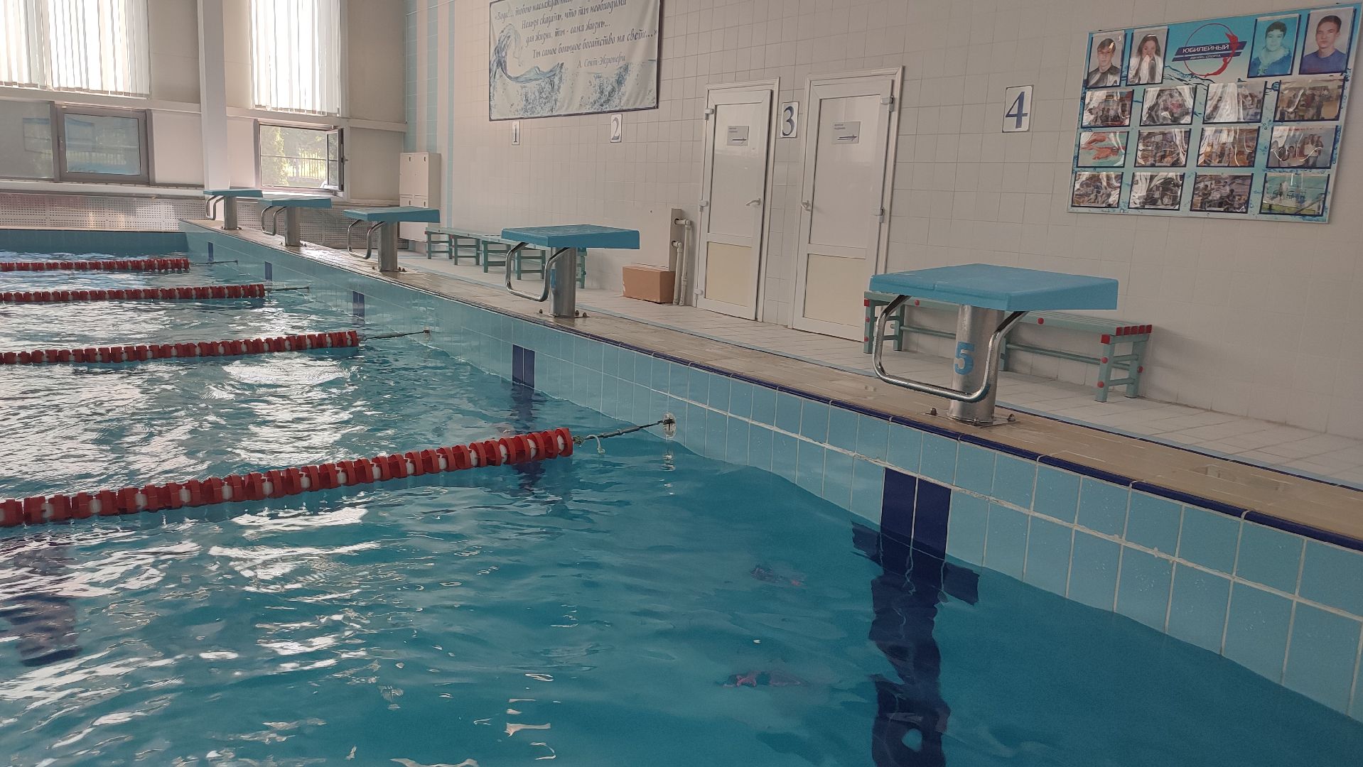 Кашира, бассейн, дворец спорта