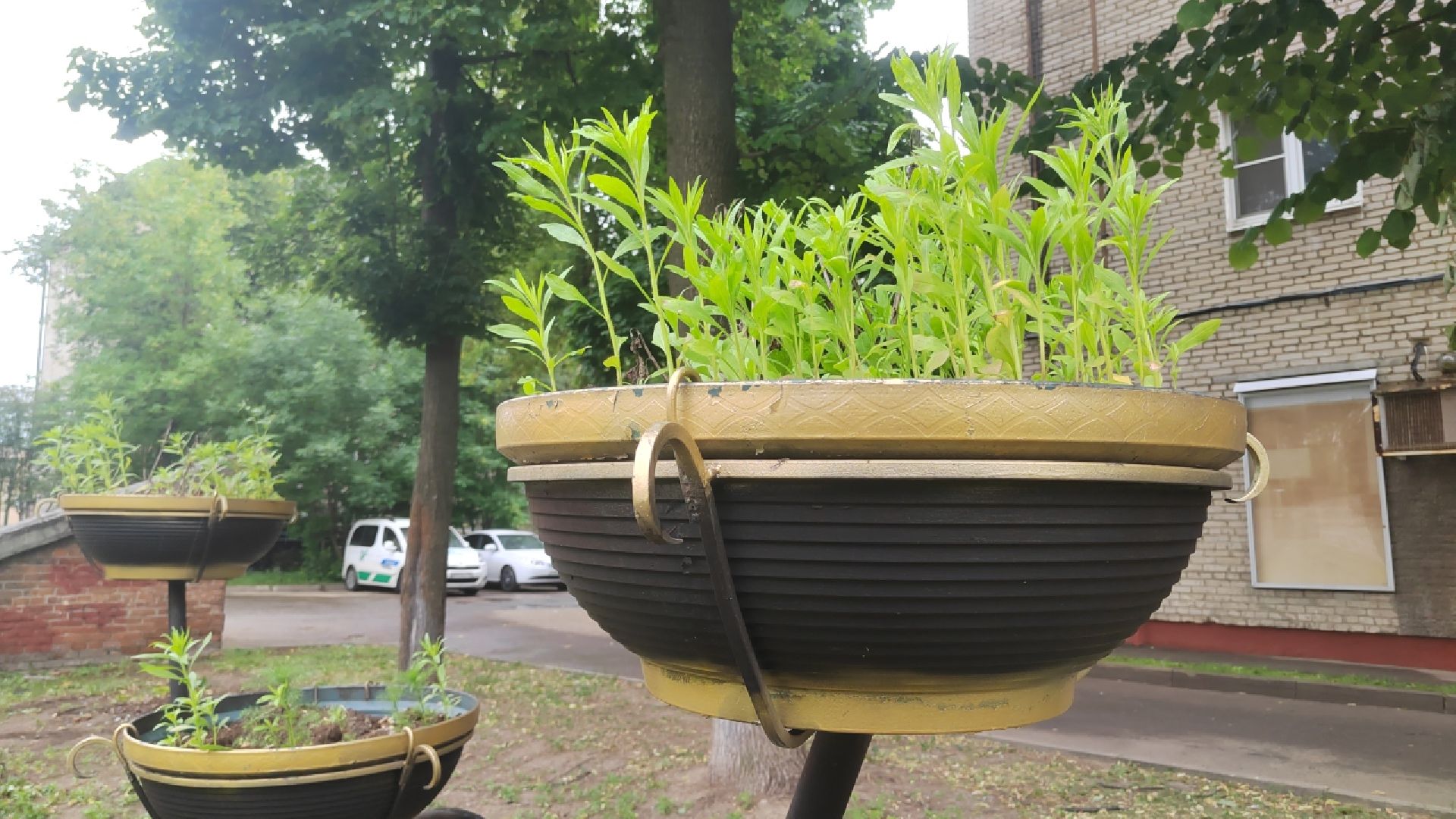 Пушкино, ЖКХ, Управляющая компания, содержание домов, благоустройство