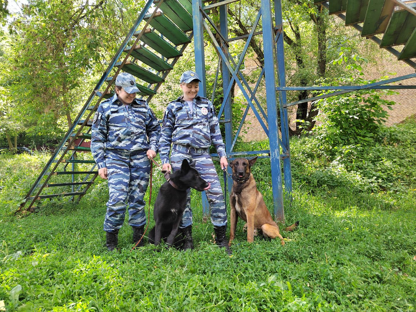 Полиция, Кинолог, МВД, МВД России, Пушкино, Пушкинский округ
