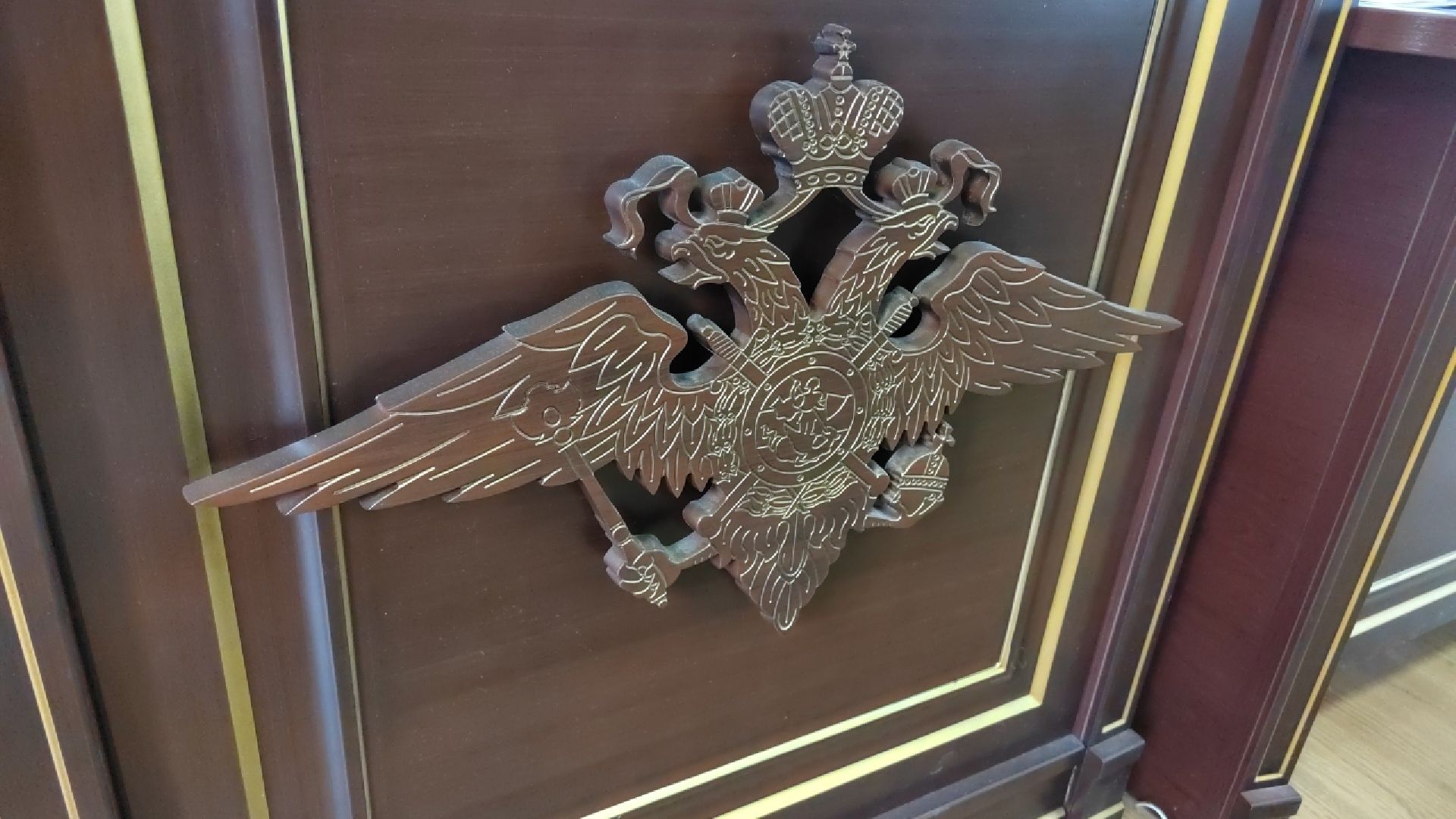 Полиция, Кинолог, МВД, МВД России, Пушкино, Пушкинский округ