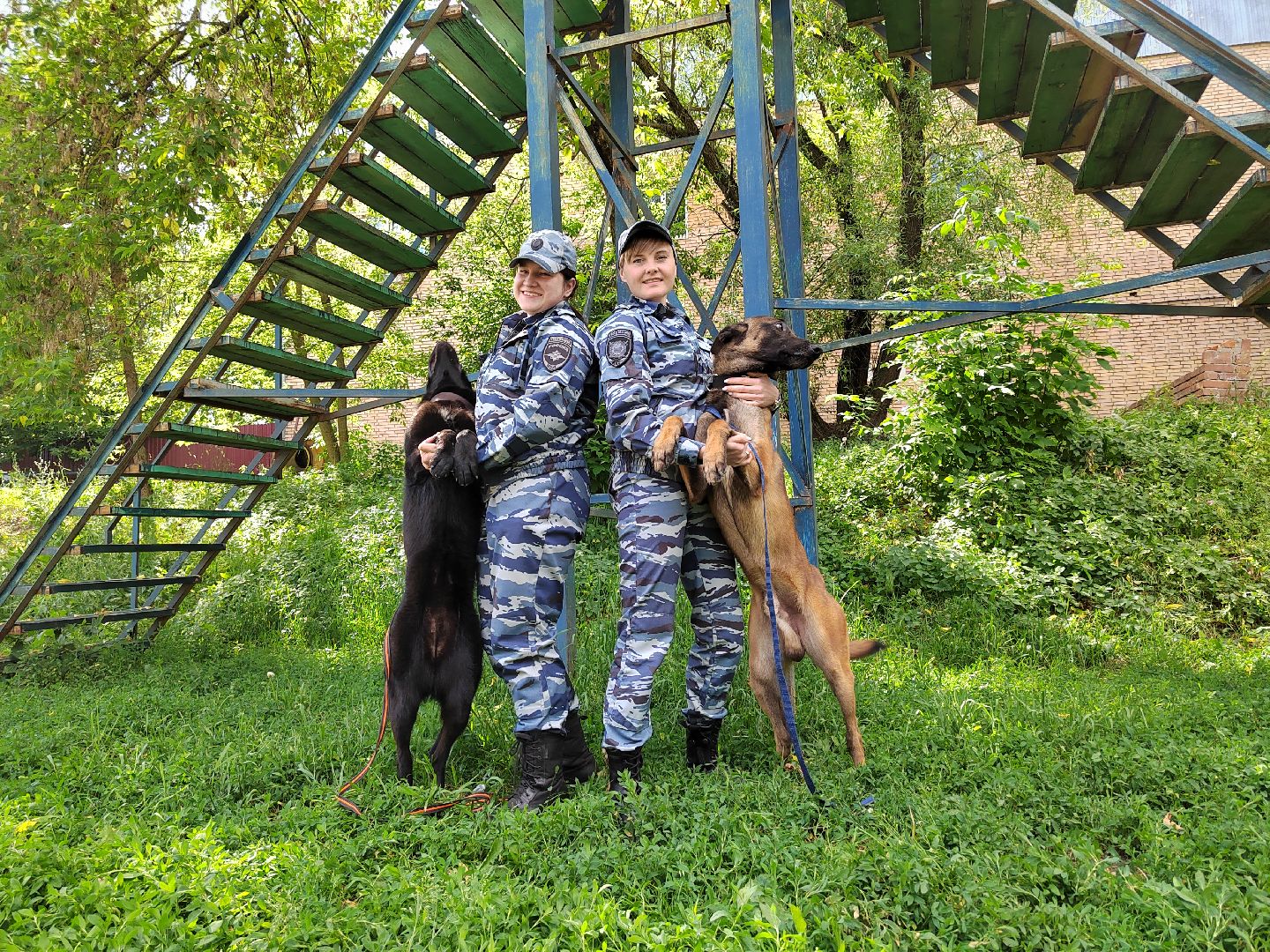 Полиция, Кинолог, МВД, МВД России, Пушкино, Пушкинский округ