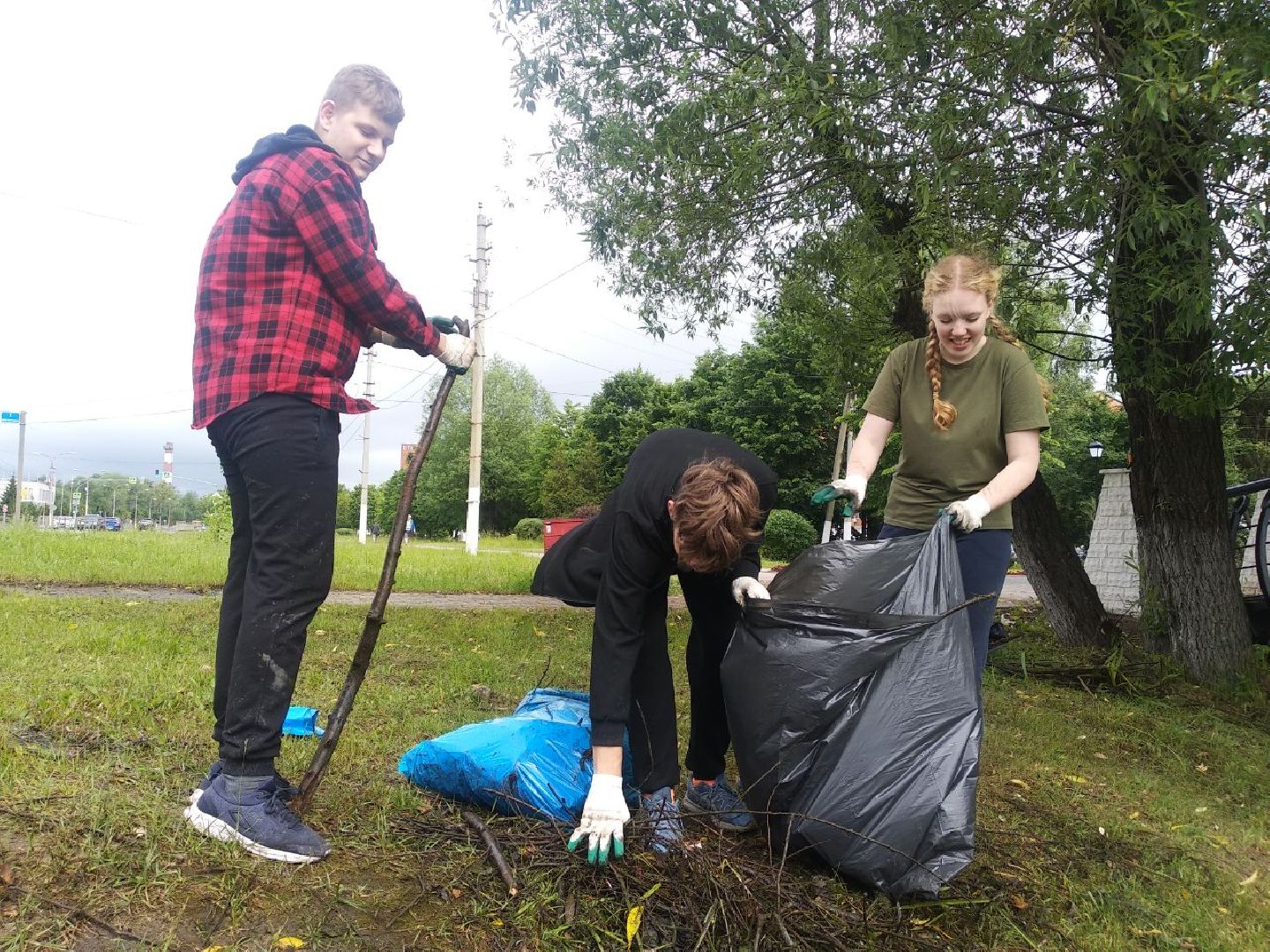 Дмитров, Березовец, Экология