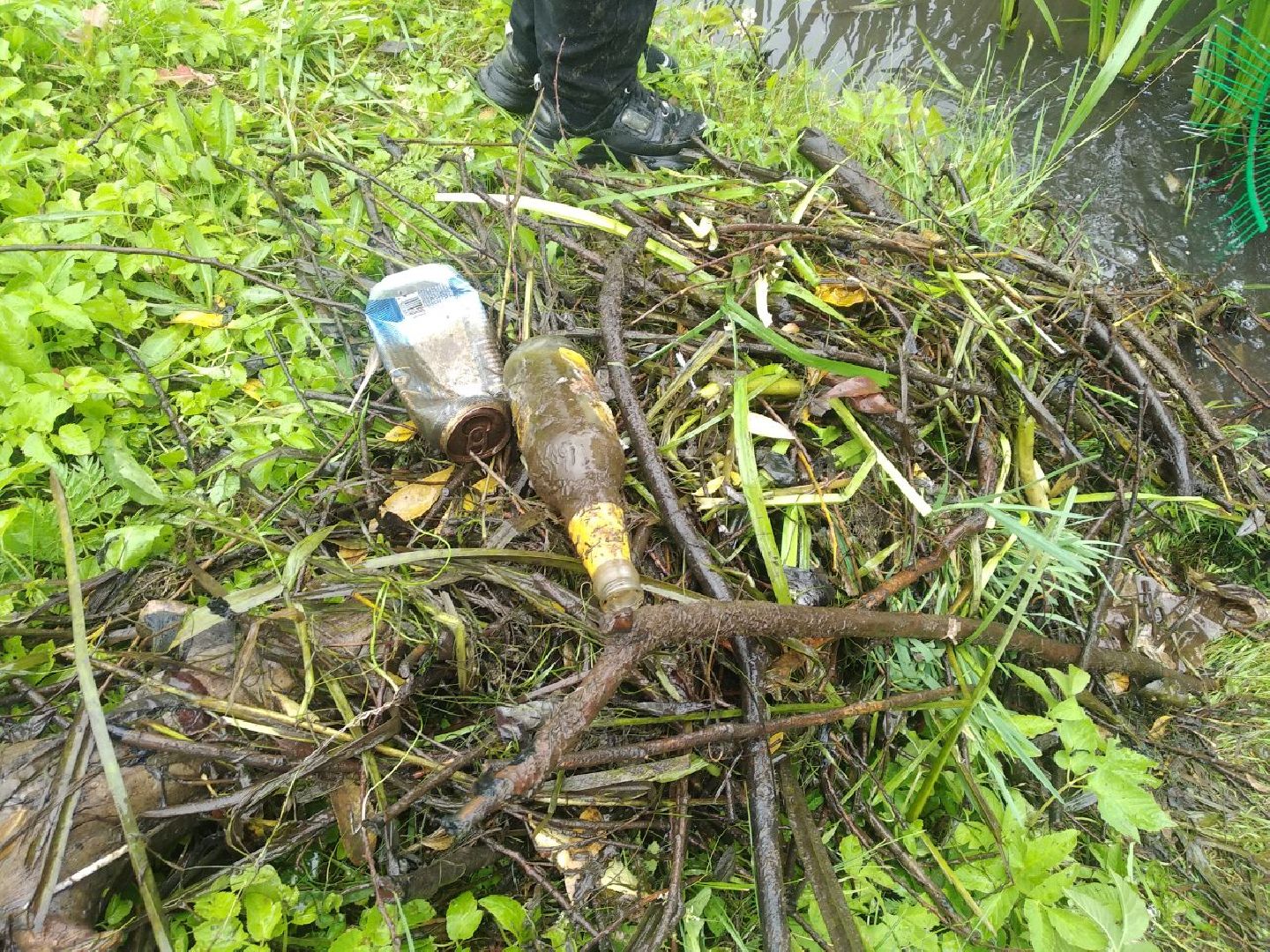 Дмитров, Березовец, Экология