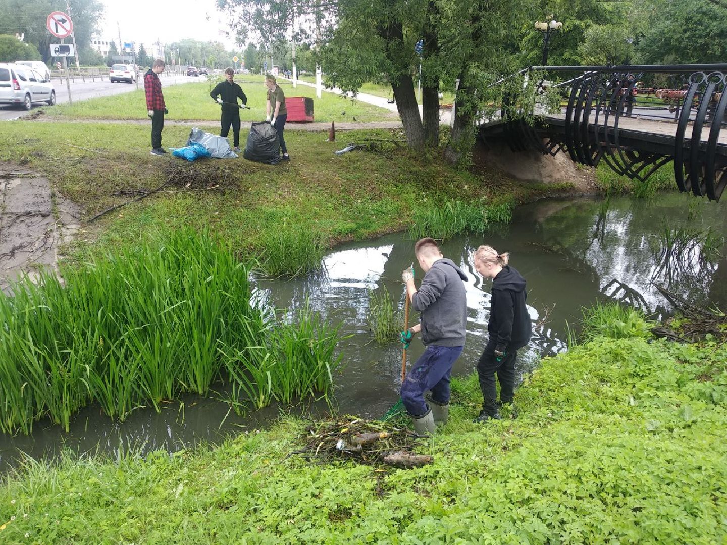 Дмитров, Березовец, Экология