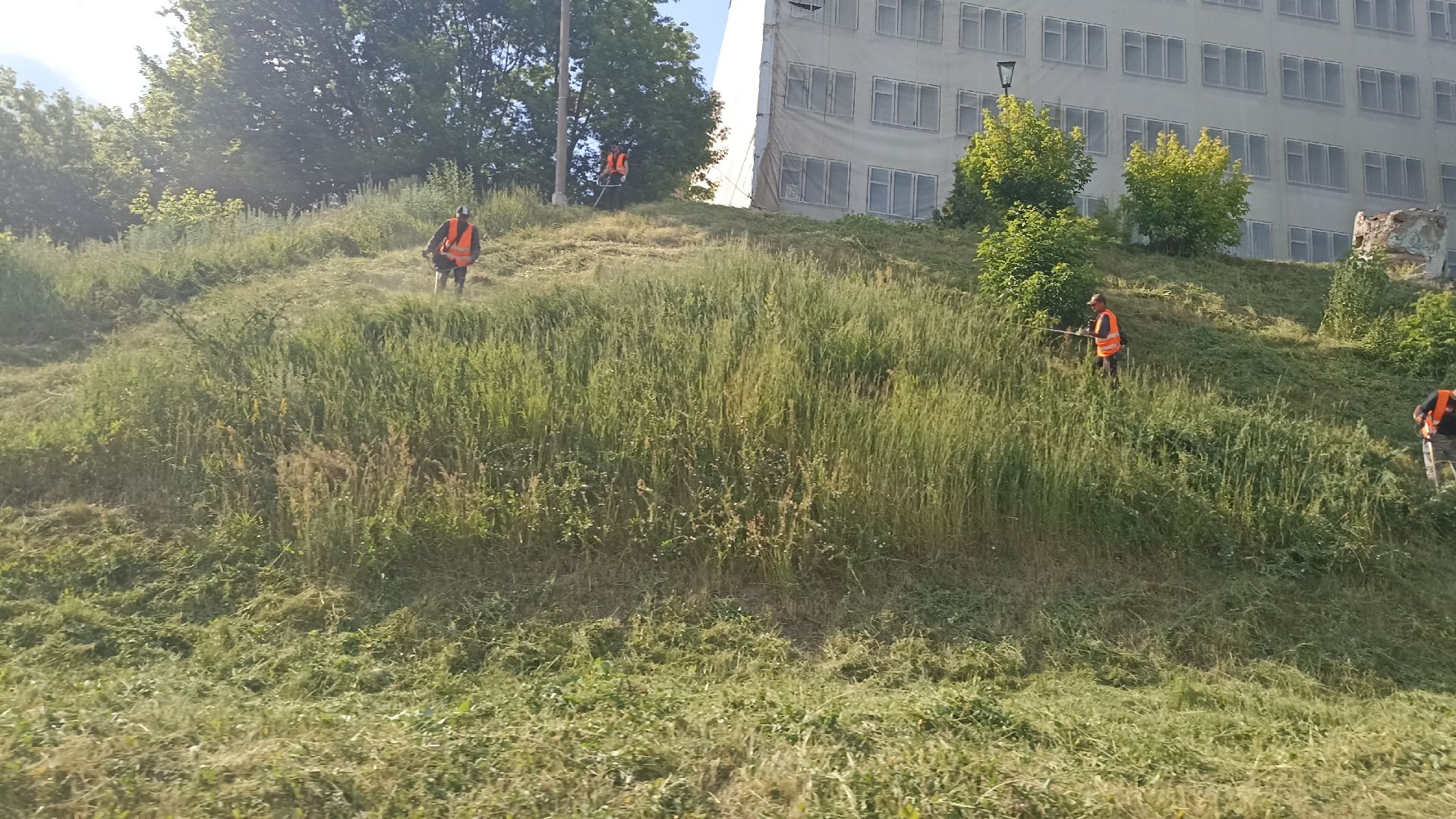 Серпухов, Подмосковье, благоустройство, покос травы, Соборная гора