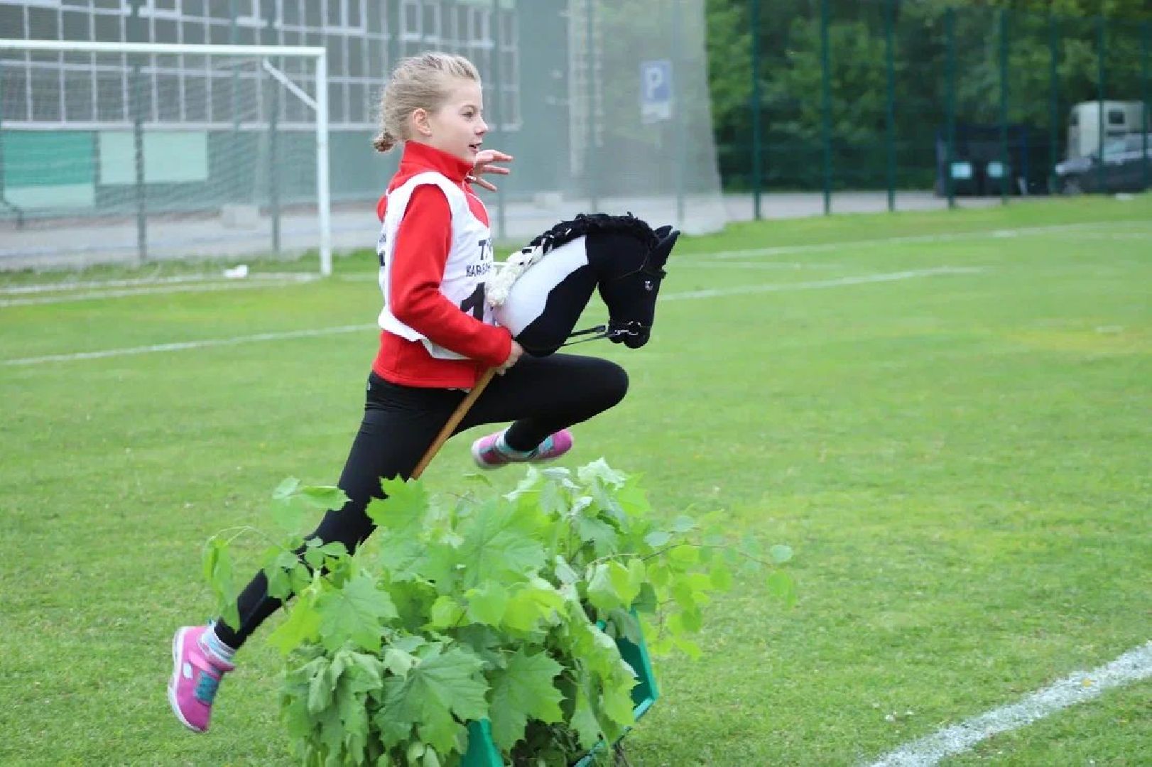 хоббихорсинг, Кузьминский лесопарк, Котельники