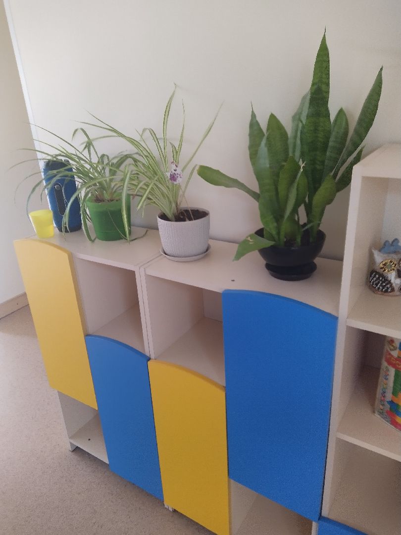 Долгопрудный, летний лагерь, лето, дети, театр, Станиславский