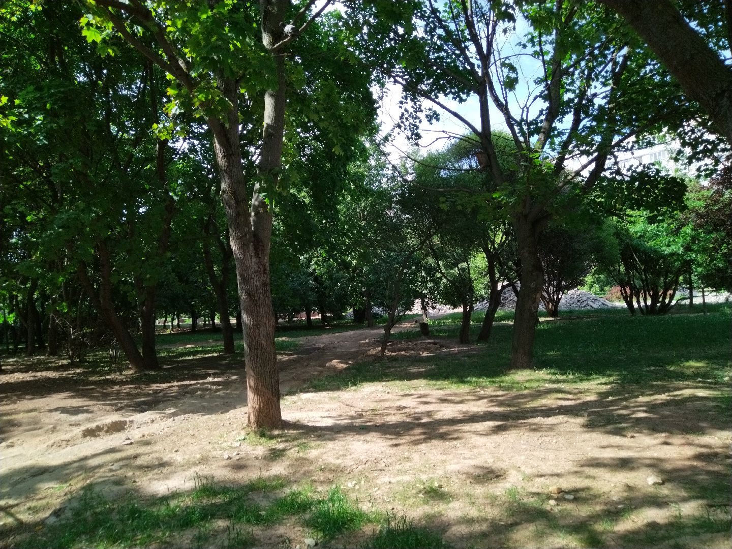 Бульвар ветеранов, Нина Распопова, Мытищи, благоустройство