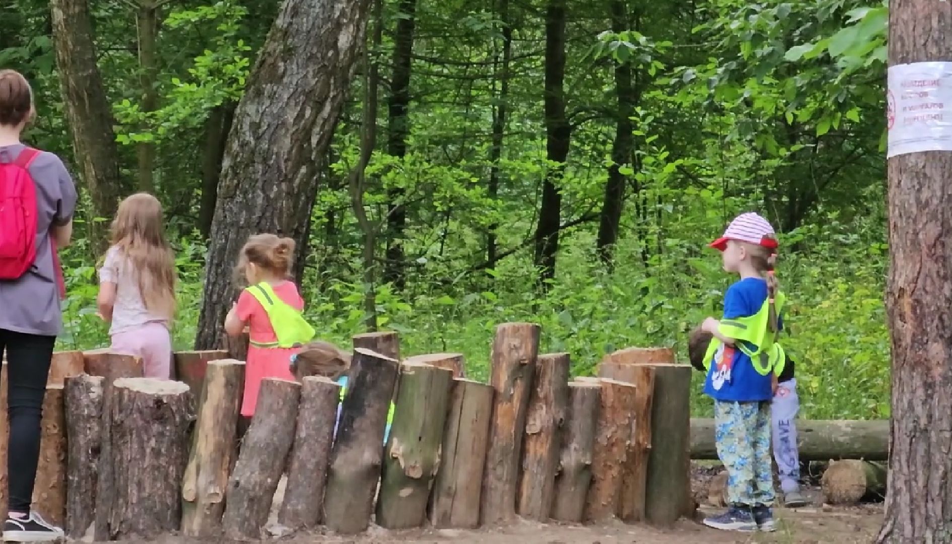 ИП Никифоров. благоустройство, Кузьминский лесопарк, Котельники