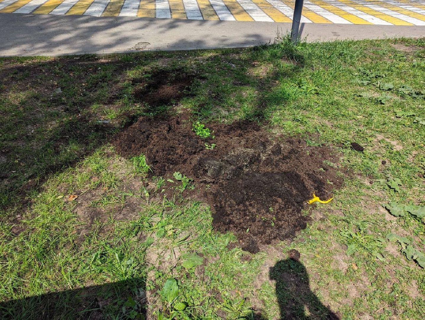 Солнечногорск, ДТП, вандализм, общественный огород, акция