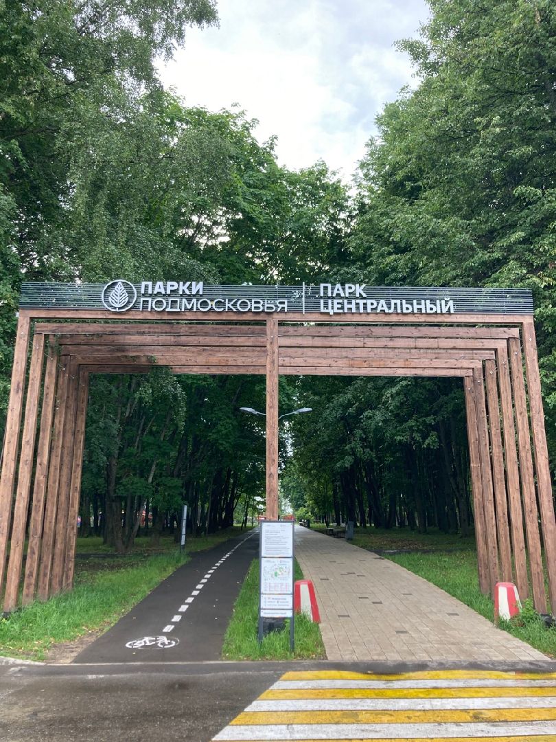 Солнечногорск, ДТП, вандализм, общественный огород, акция