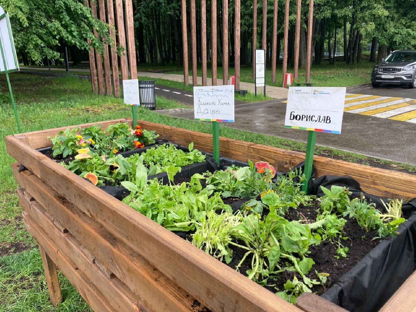 Солнечногорск, ДТП, вандализм, общественный огород, акция