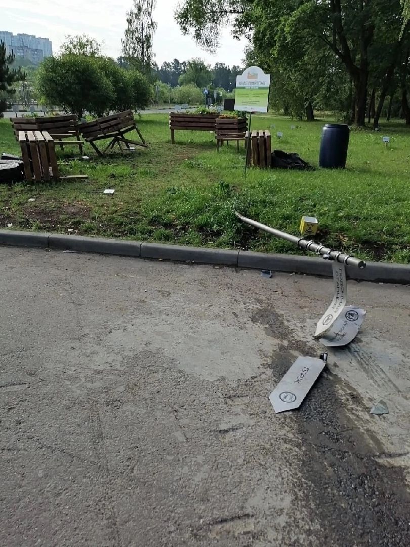 Солнечногорск, ДТП, вандализм, общественный огород, акция