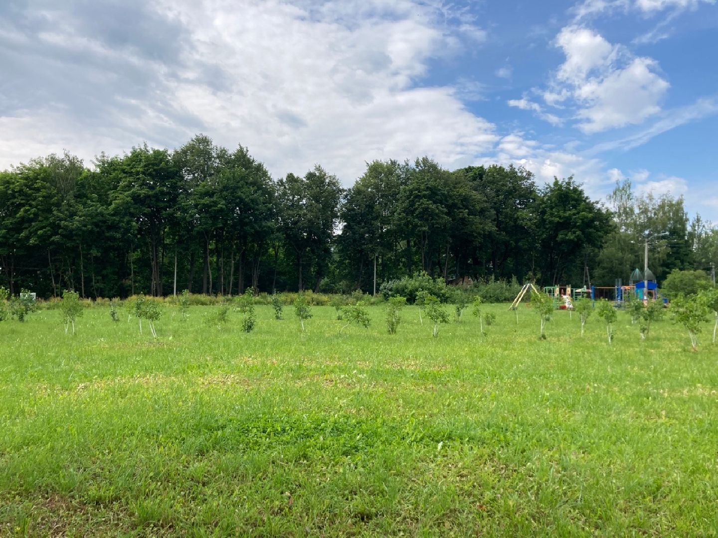 Солнечногорск, благоустройство, голосование, детская площадка, церковь