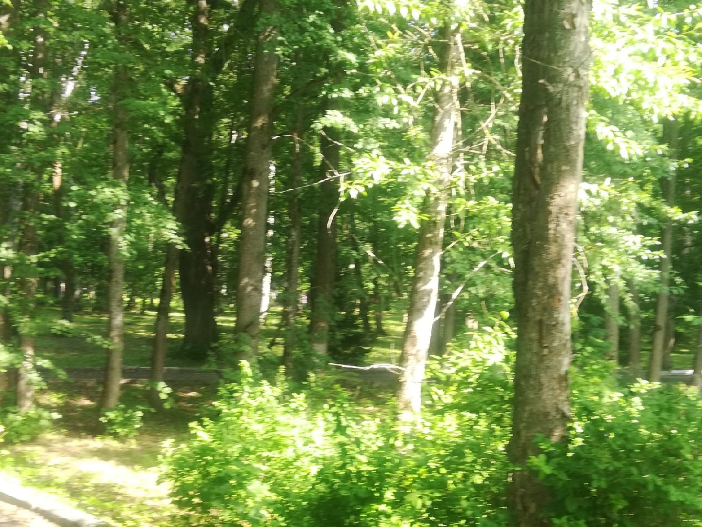 Звенигород, киносъемки, Повесть о настоящем человеке, Павел Кадочников, Алексей Маресьев