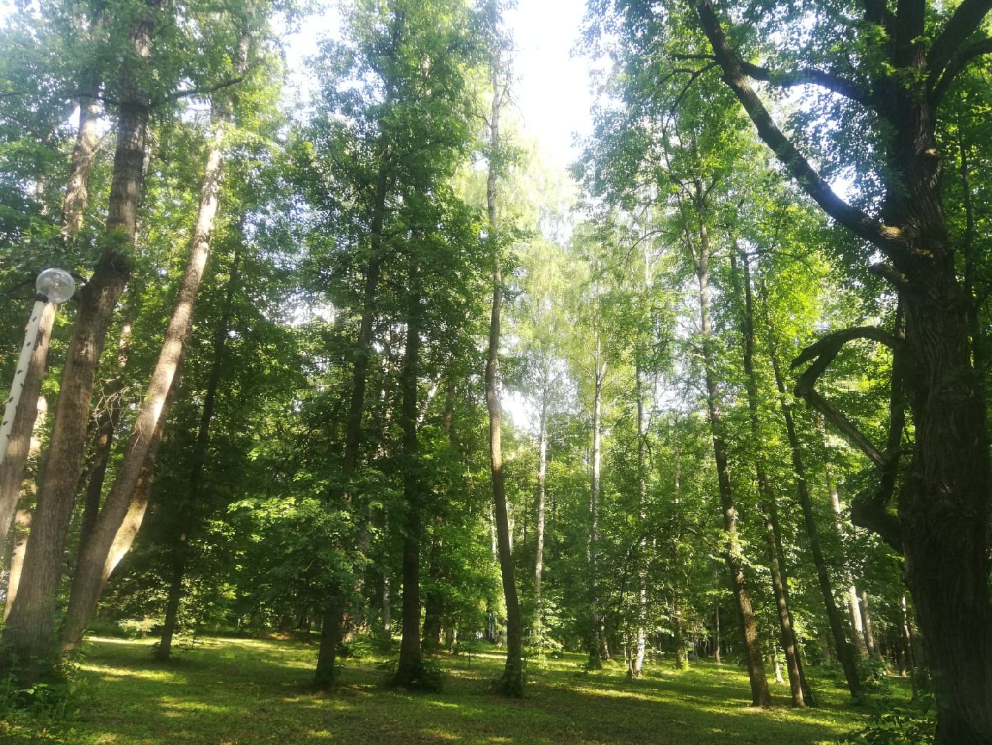 Звенигород, киносъемки, Повесть о настоящем человеке, Павел Кадочников, Алексей Маресьев