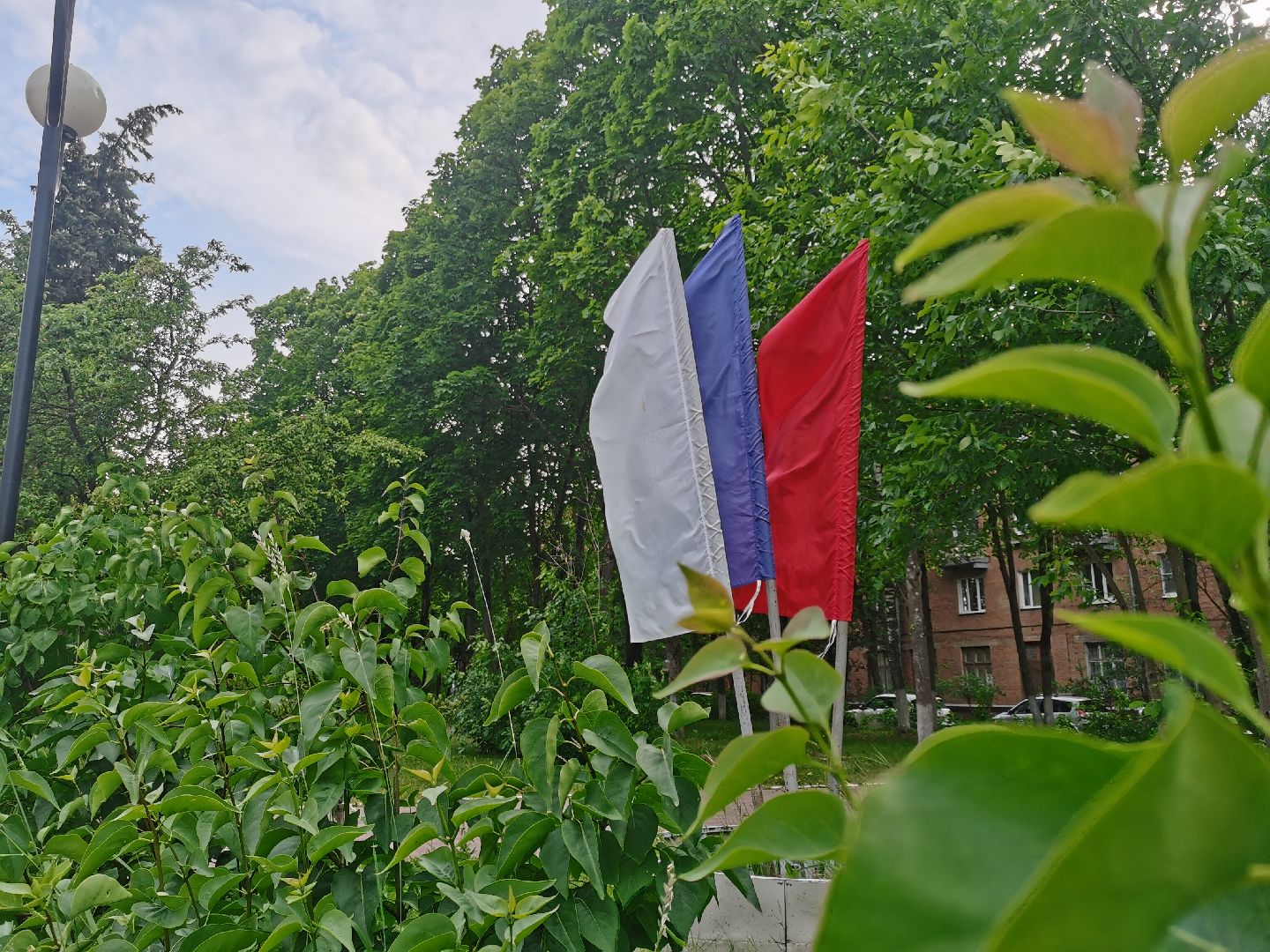 Пушкино, волонтеры, доброе сердце, семья, Пушкинский округ