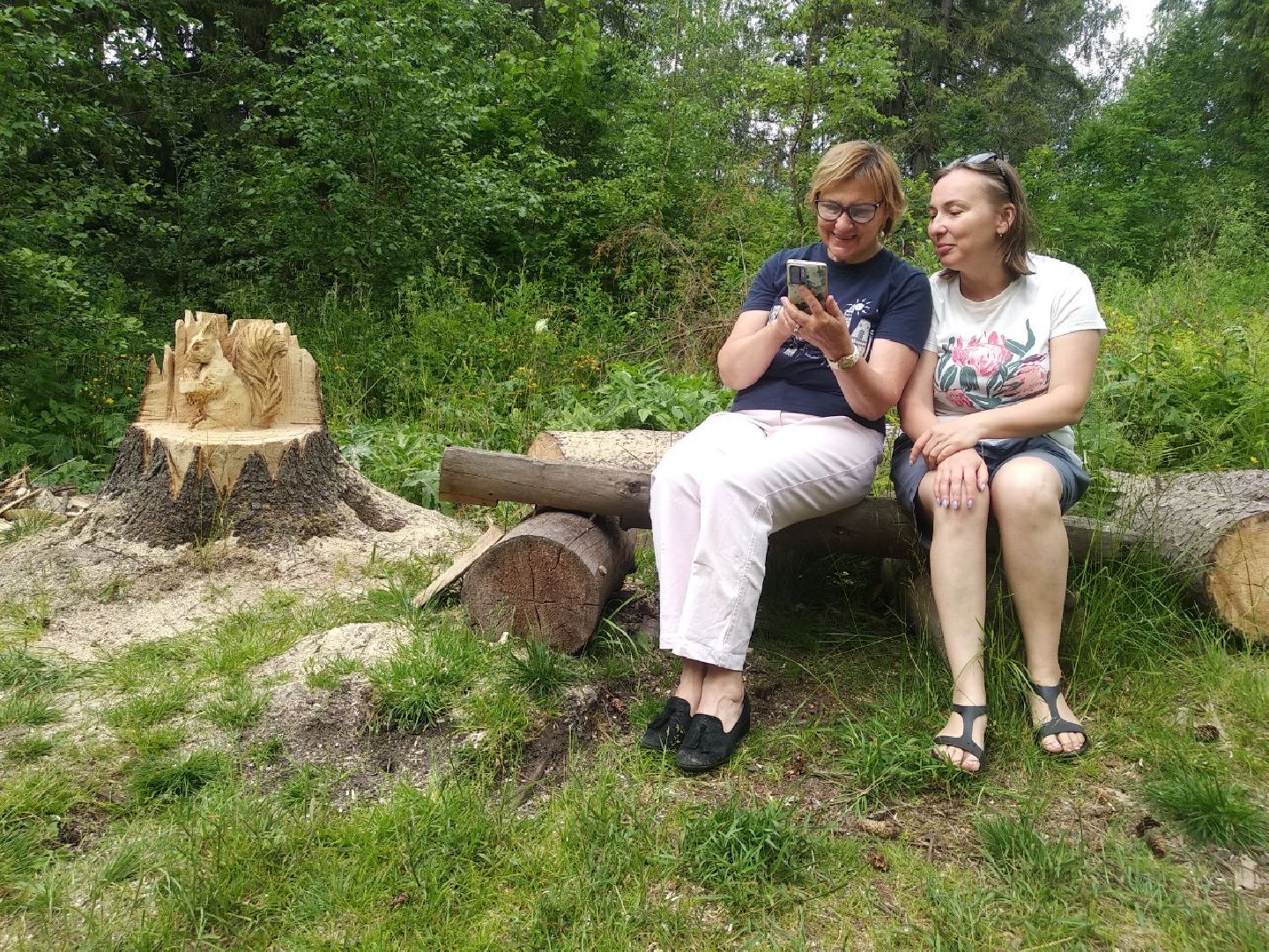 Дмитров, деревня Свистуха, Комитет лесного хозяйства МО