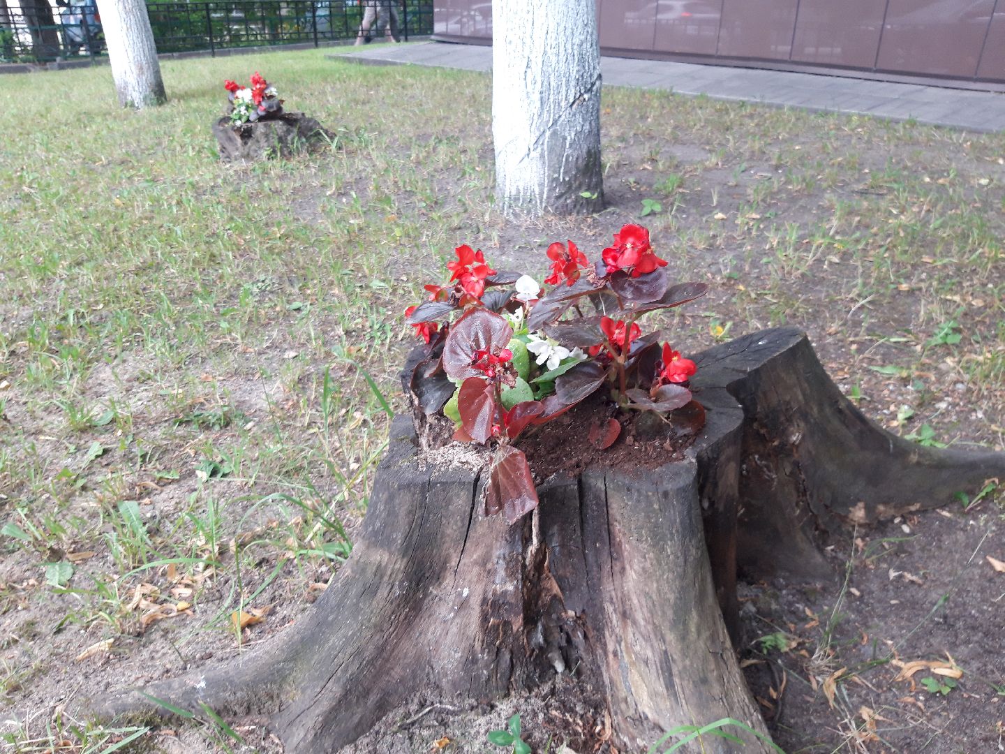 двор, доброе дело,