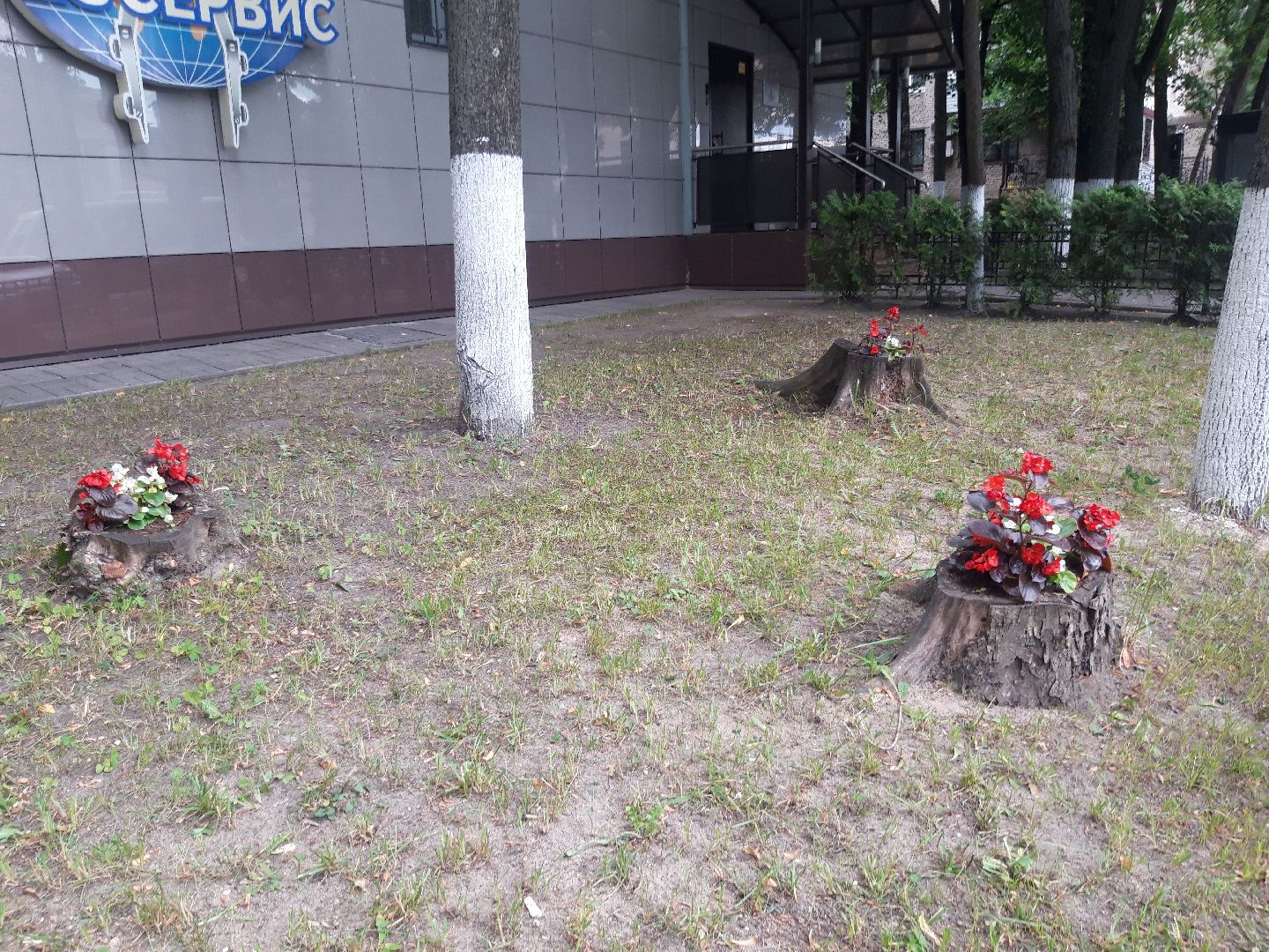 двор, доброе дело,