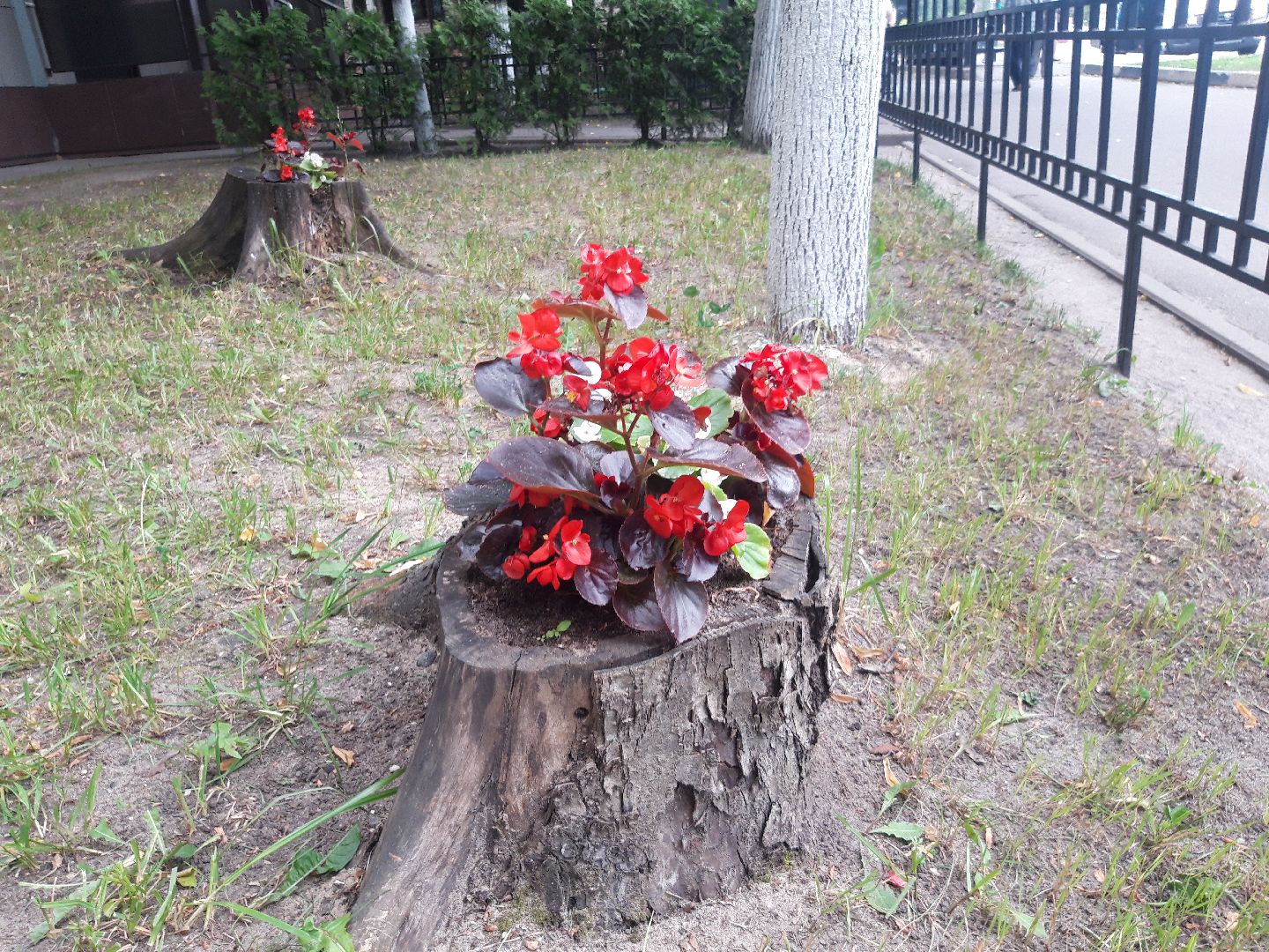 двор, доброе дело,