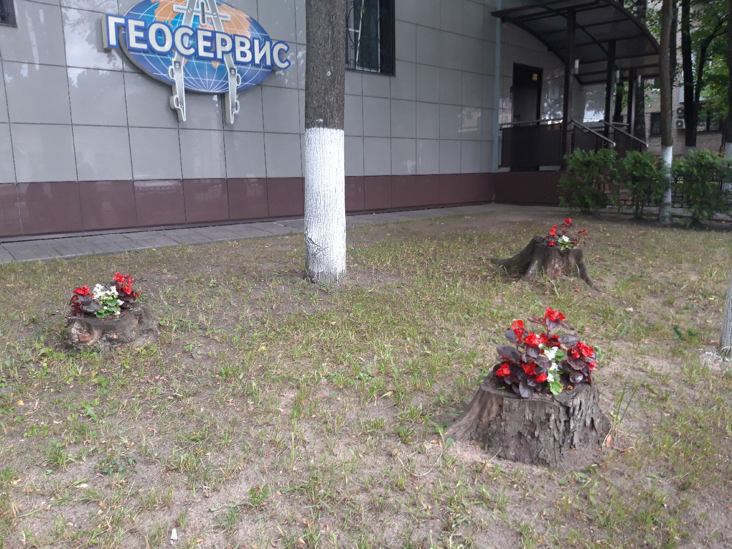 двор, доброе дело,