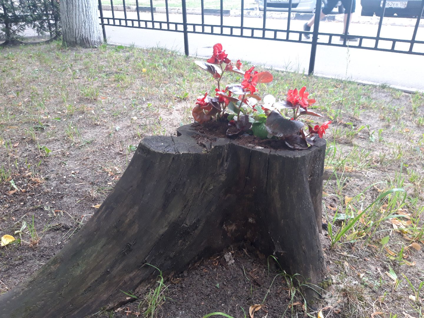 двор, доброе дело,