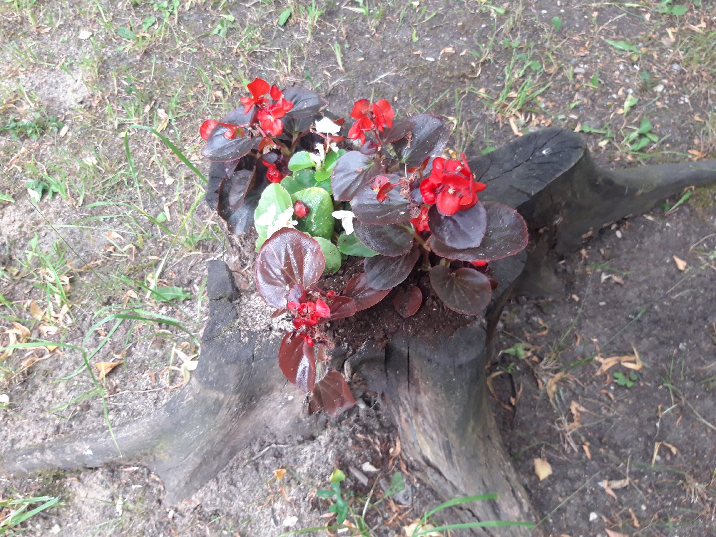 двор, доброе дело,