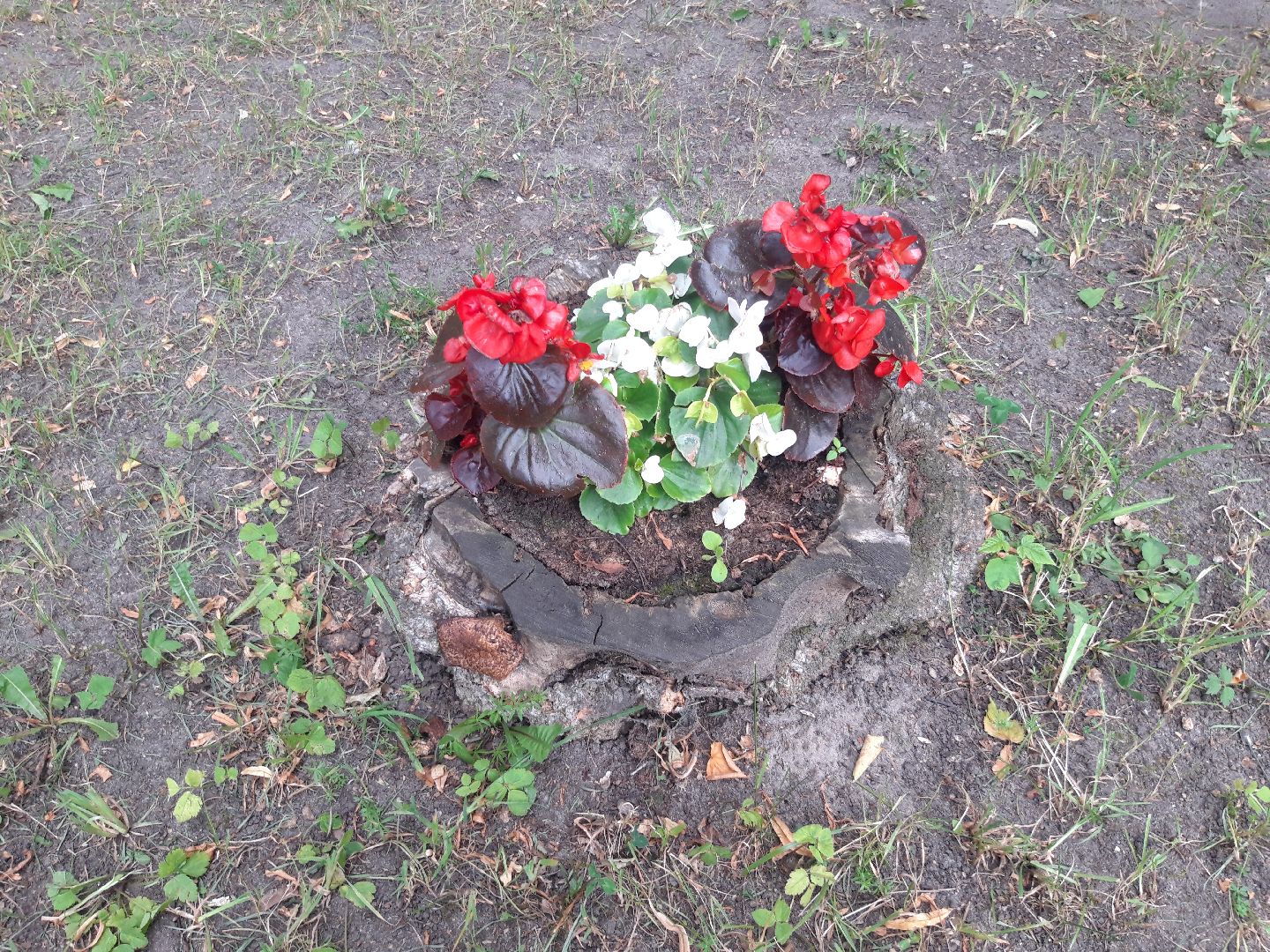 двор, доброе дело,