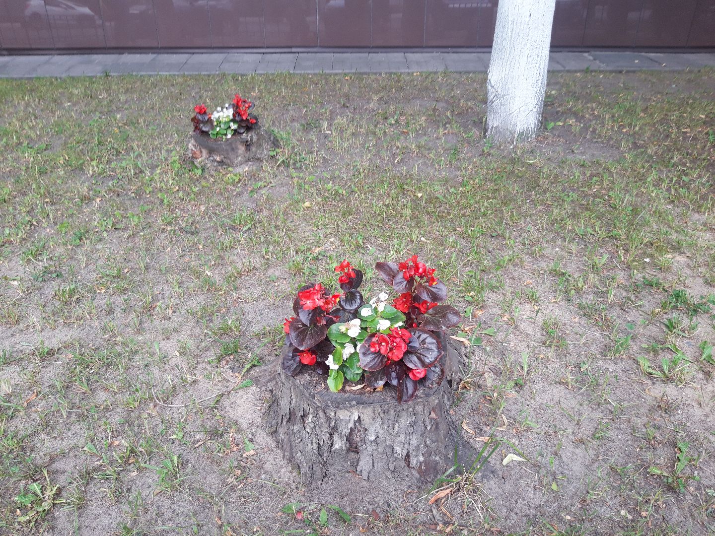 двор, доброе дело,