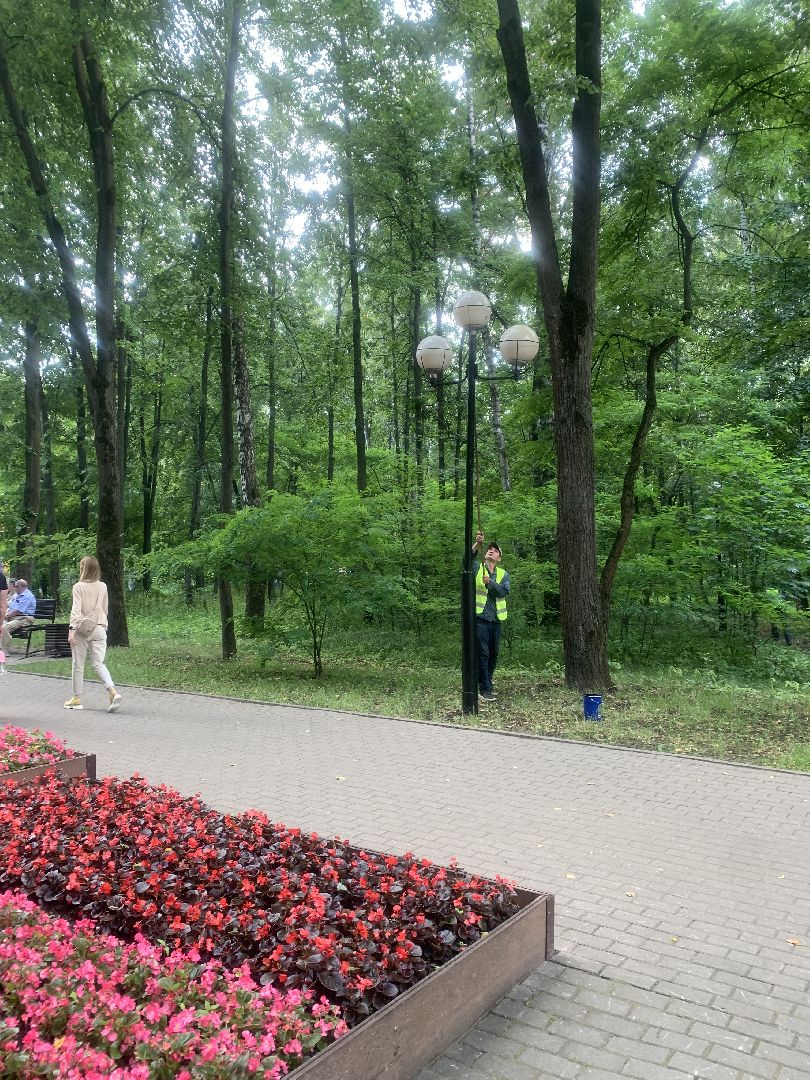 Парки, благоустройство, лето в подмосковье,Городской парк