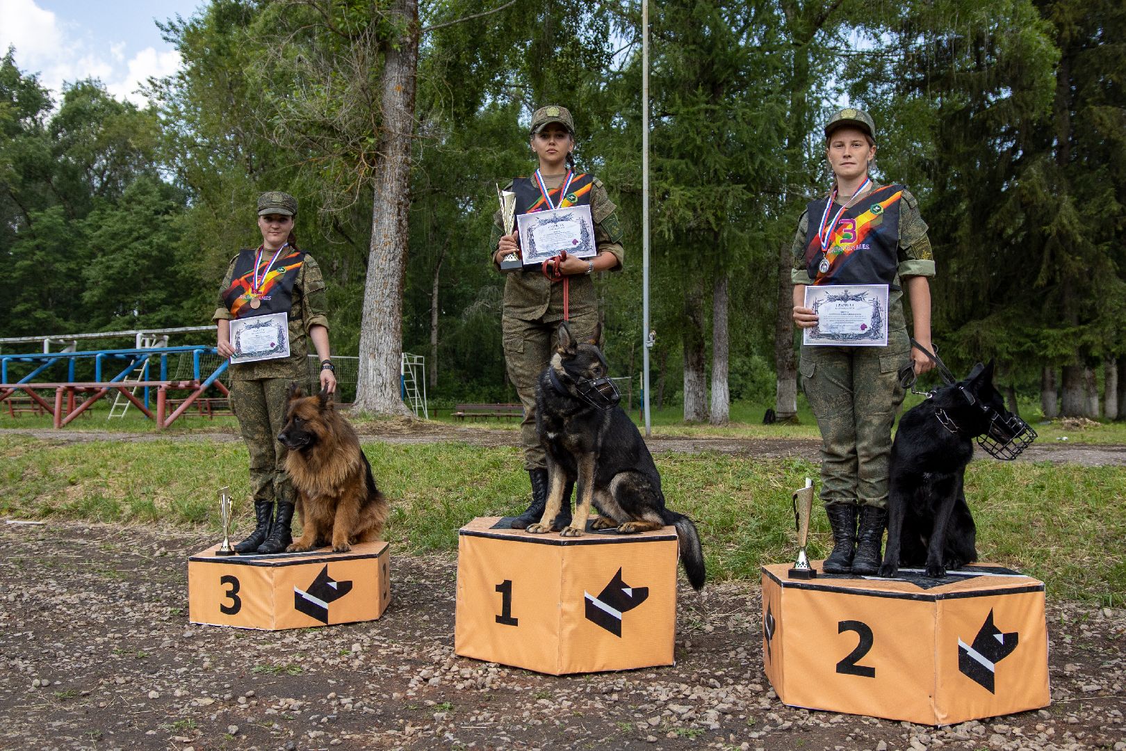 Можайск, Можайский городской округ, Подмосковье, армия, военнослужащие, кинологи, служебные собаки, конкурс