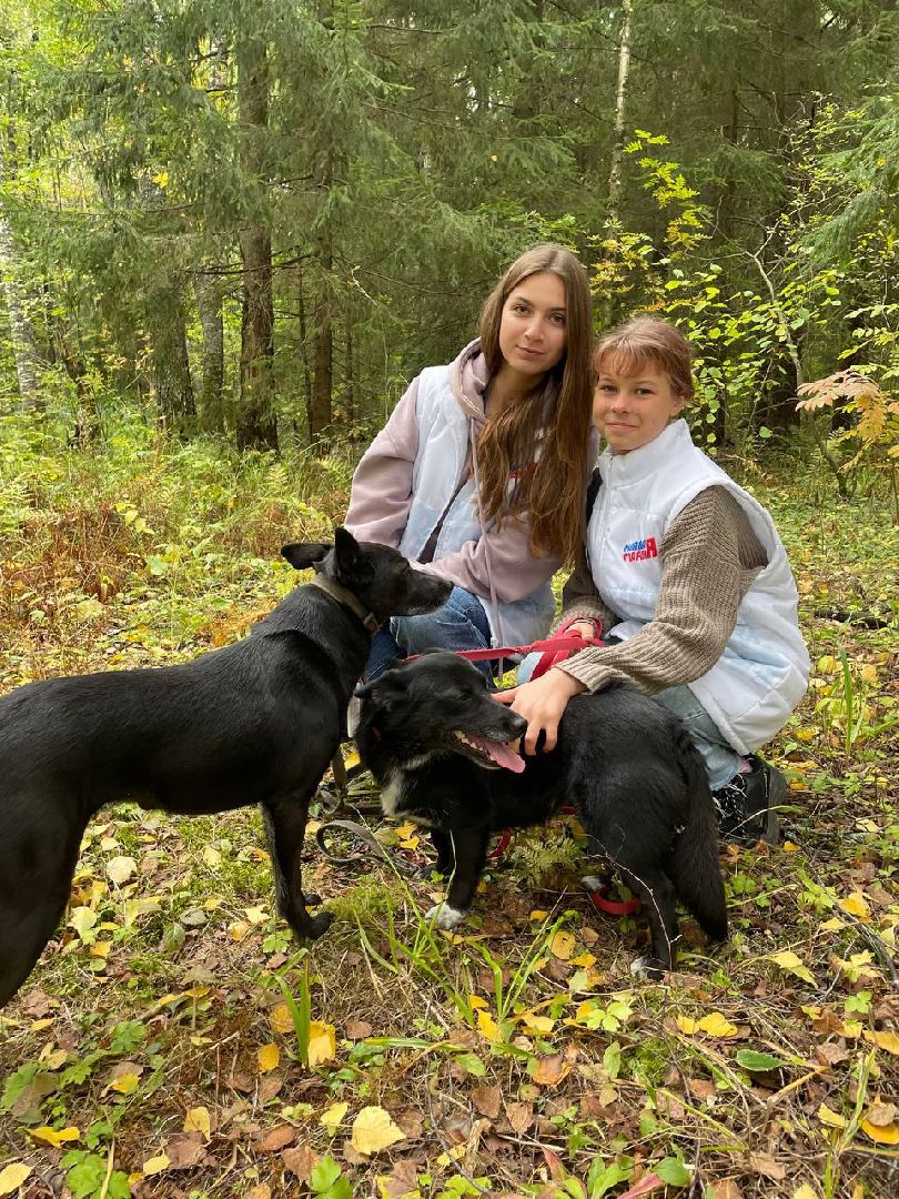 Можайск, Можайский городской округ, Подмосковье, волонтёры, федеральный грант, проект, граффити, Лица Победы