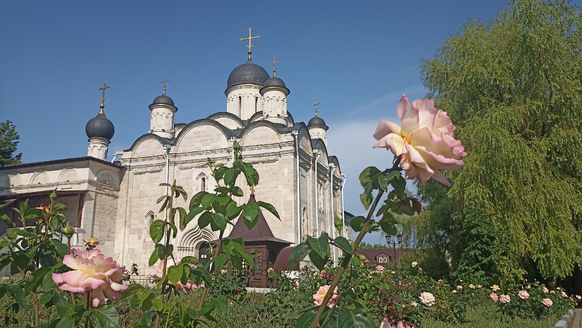 Серпухов, Подмосковье, монастырь, розы, православие