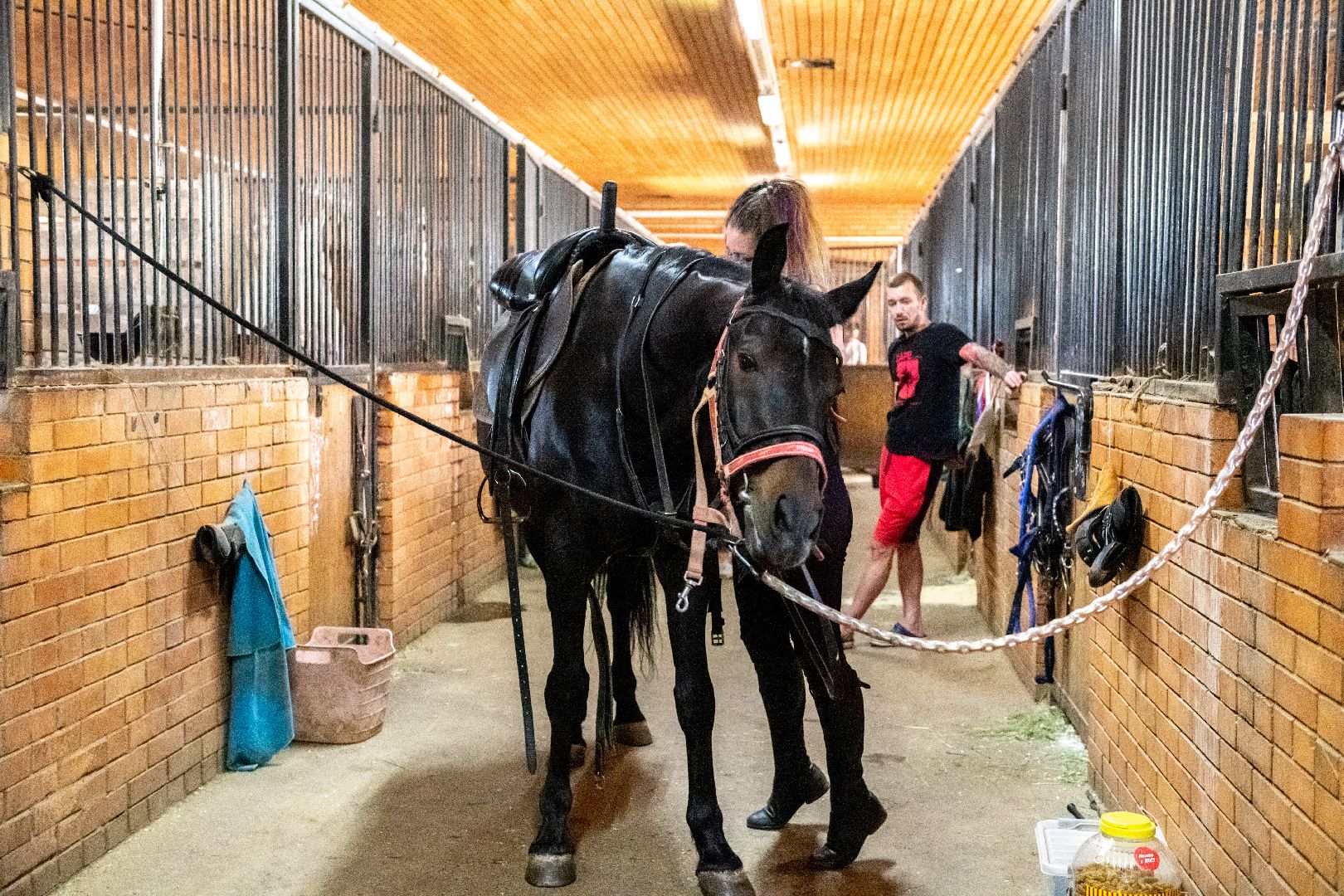 лыткарино, спорт, конный спорт, созидатель, конник,