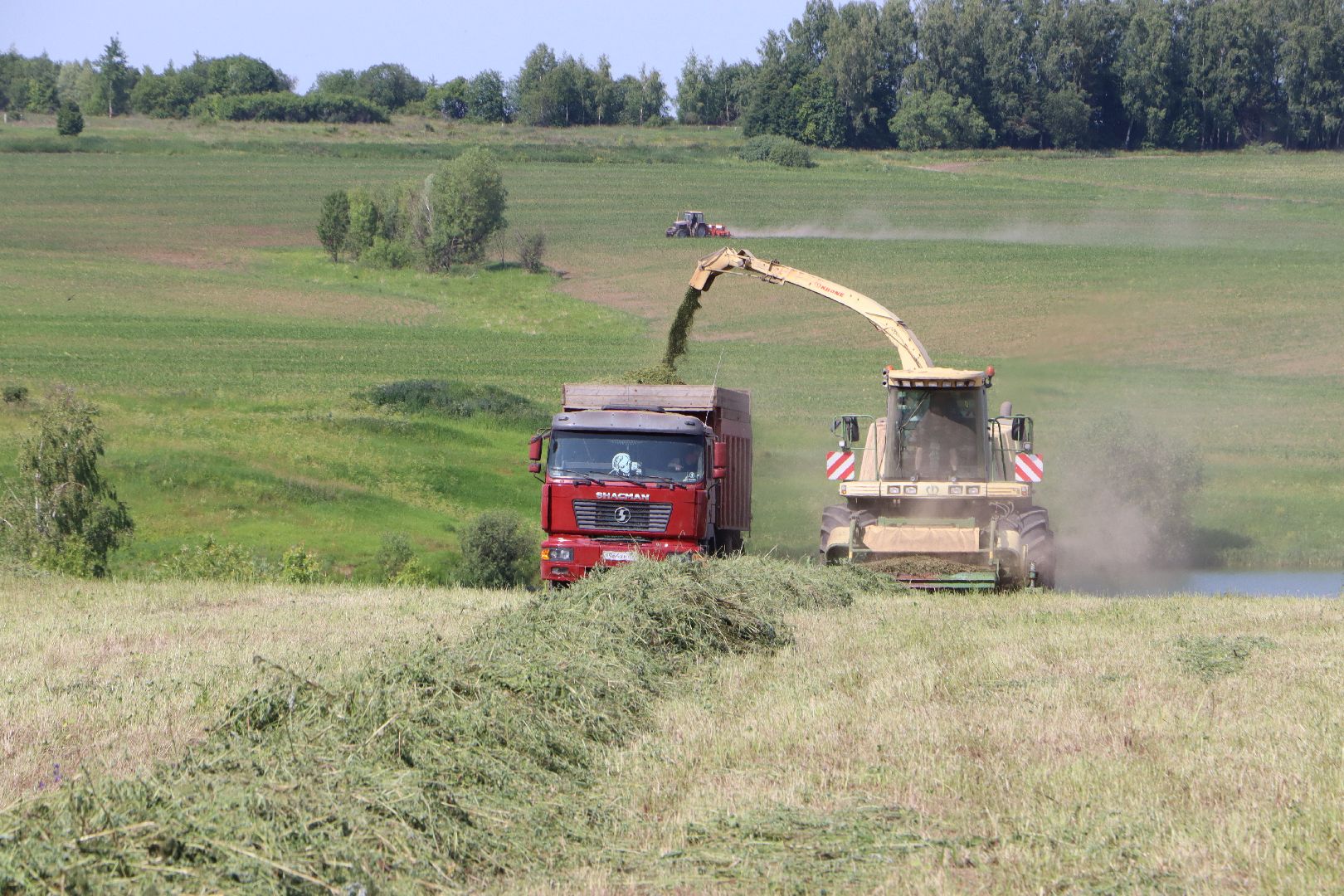 Серебряные Пруды, Сельское хозяйство