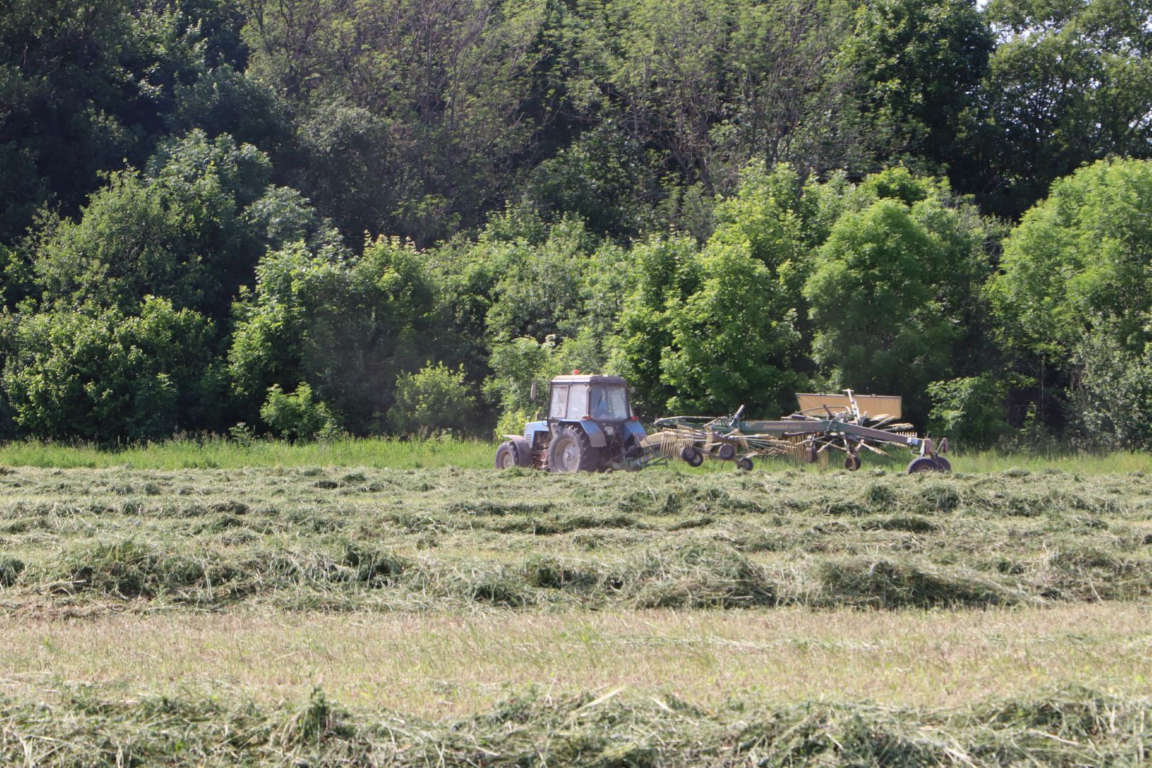 Серебряные Пруды, Сельское хозяйство