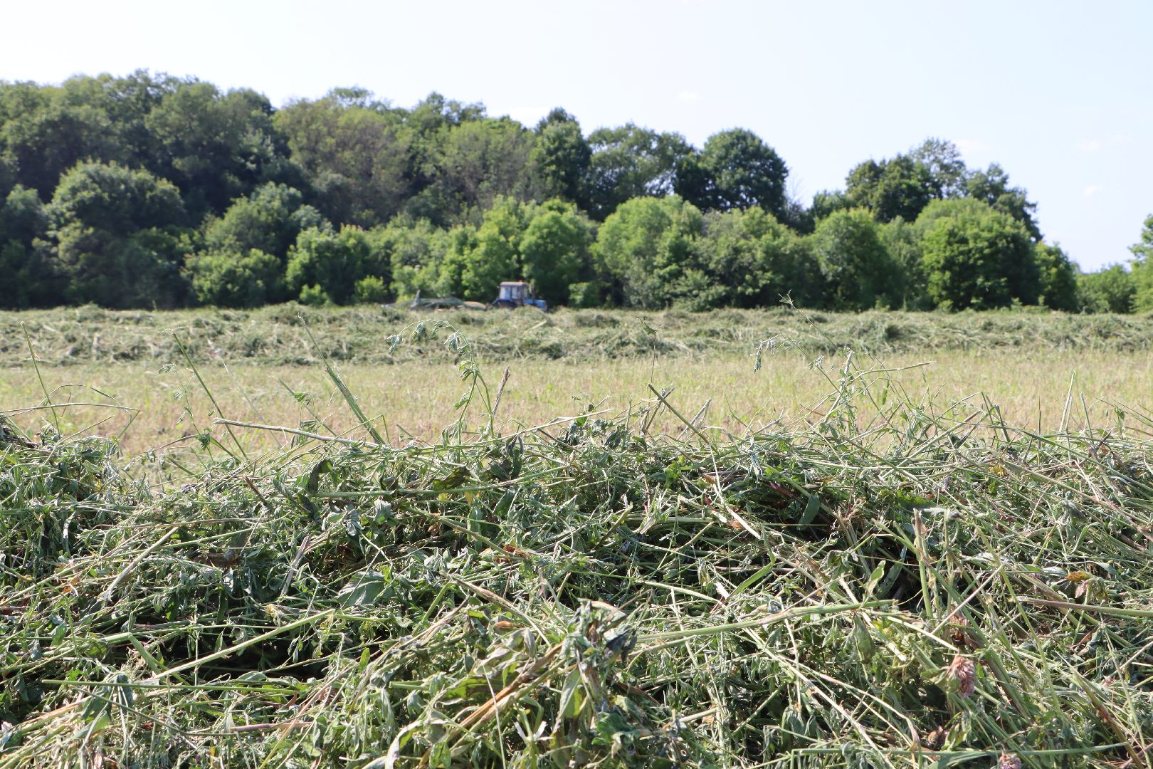Серебряные Пруды, Сельское хозяйство