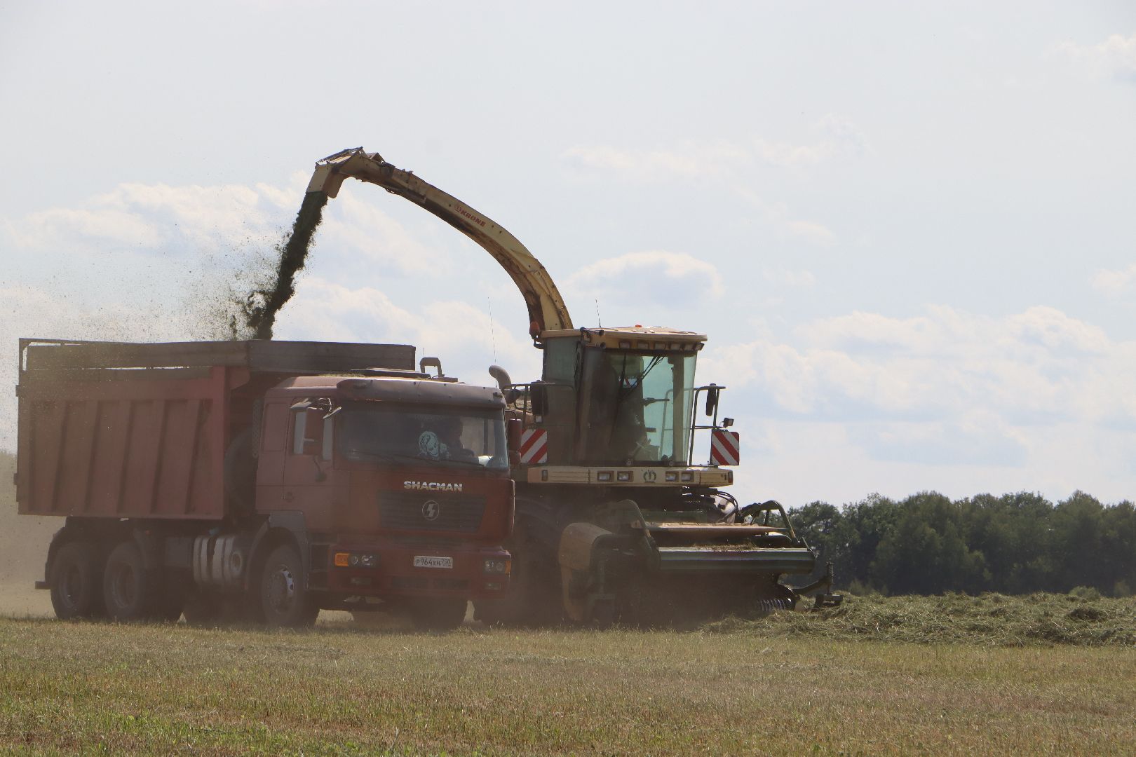 Серебряные Пруды, Сельское хозяйство