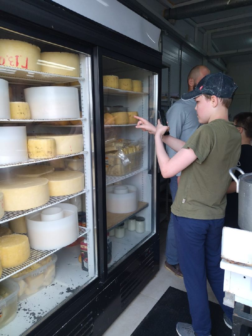 Наро-Фоминск, фермер Джаппуев, экономика Подмосковья, экскурсия на ферму