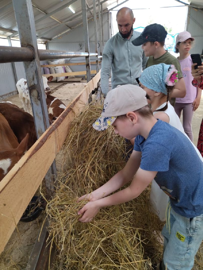 Наро-Фоминск, фермер Джаппуев, экономика Подмосковья, экскурсия на ферму