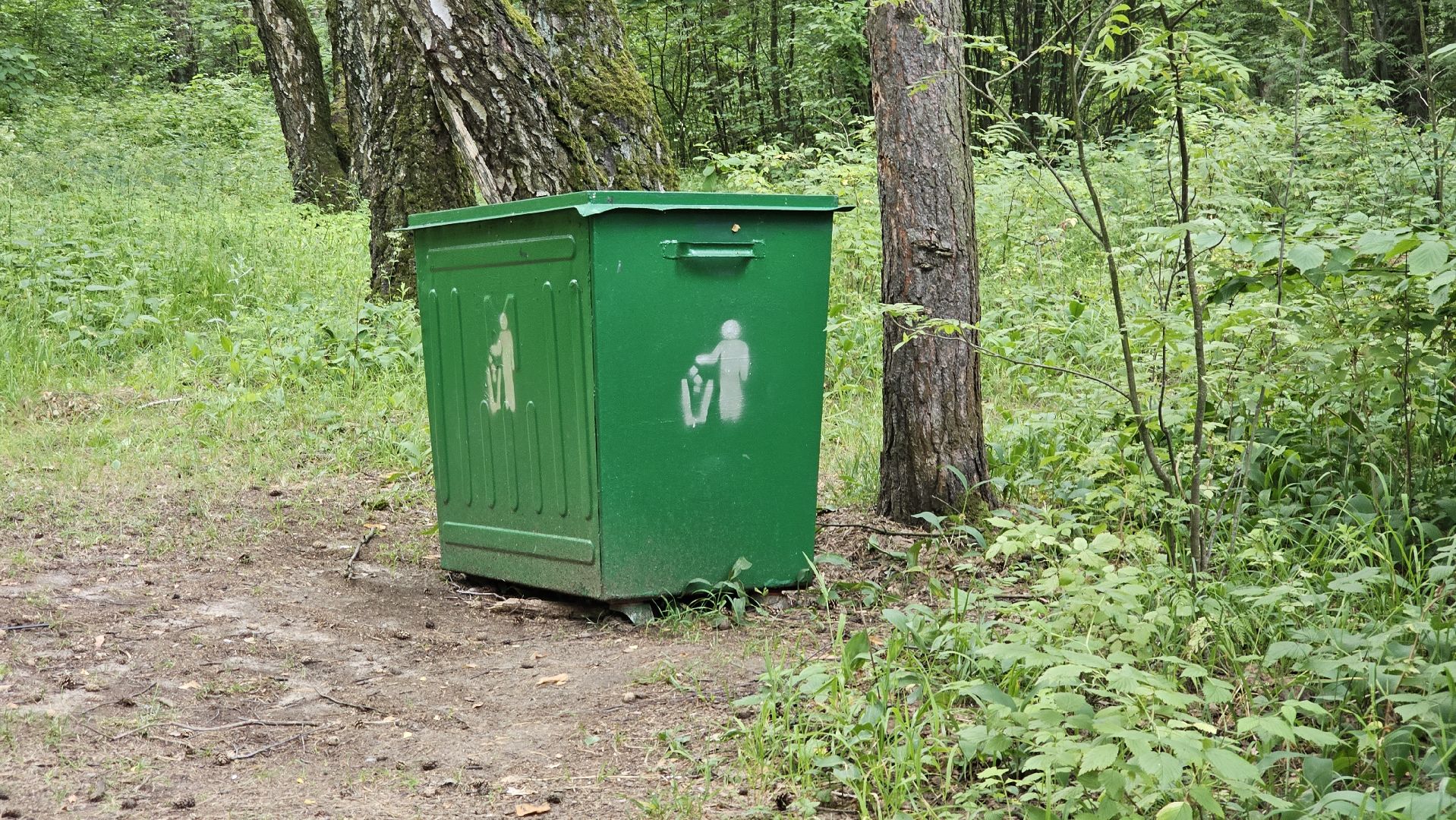 Кузьминский лесопарк, уборка мусора, Котельники