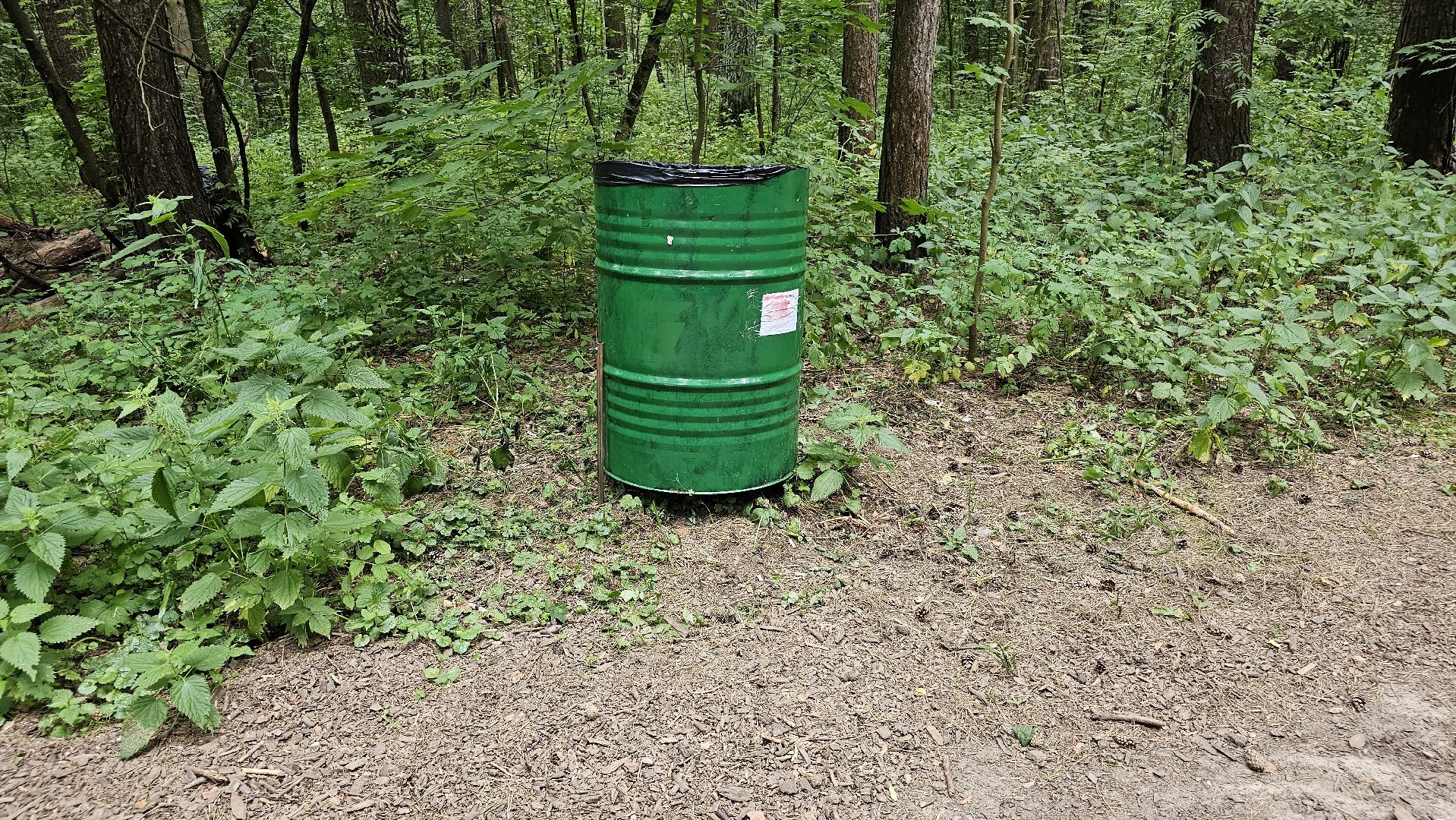 Кузьминский лесопарк, уборка мусора, Котельники