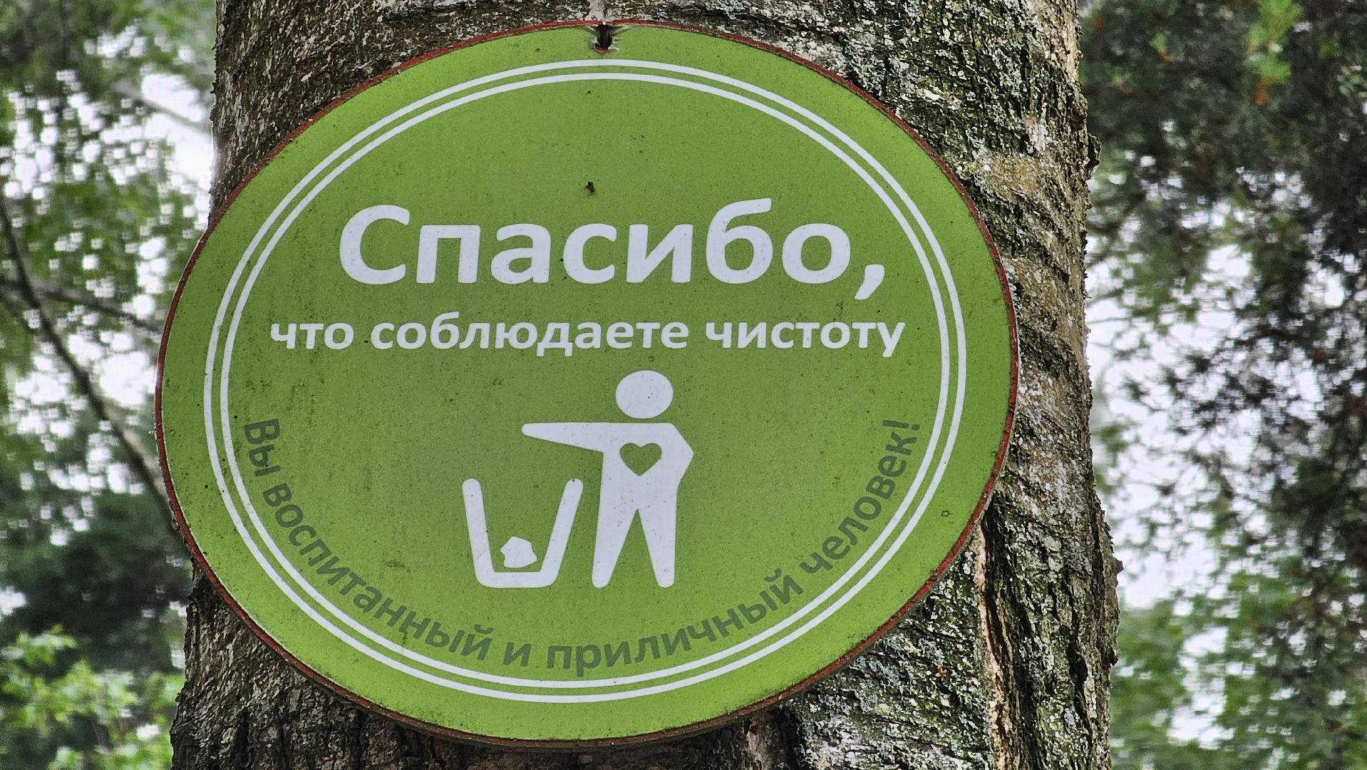 Кузьминский лесопарк, уборка мусора, Котельники