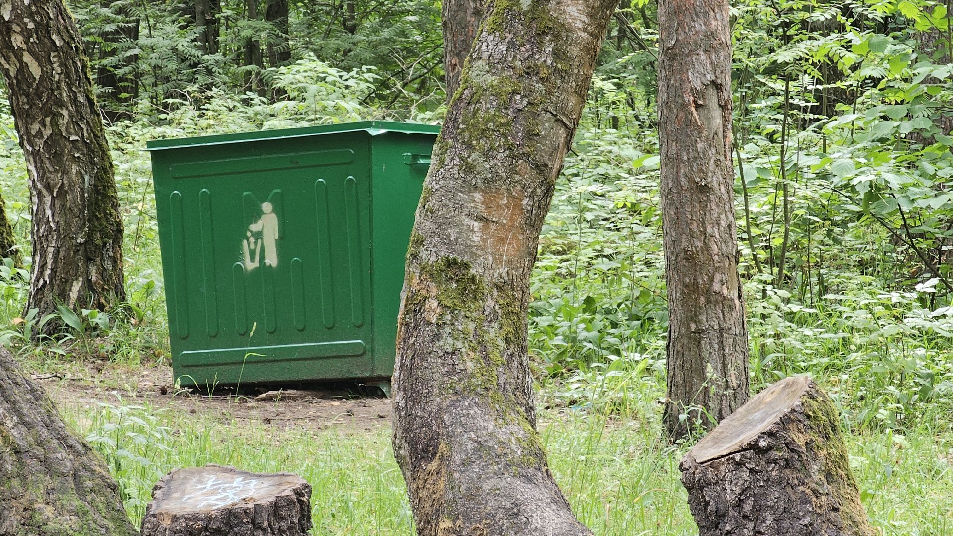 Кузьминский лесопарк, уборка мусора, Котельники